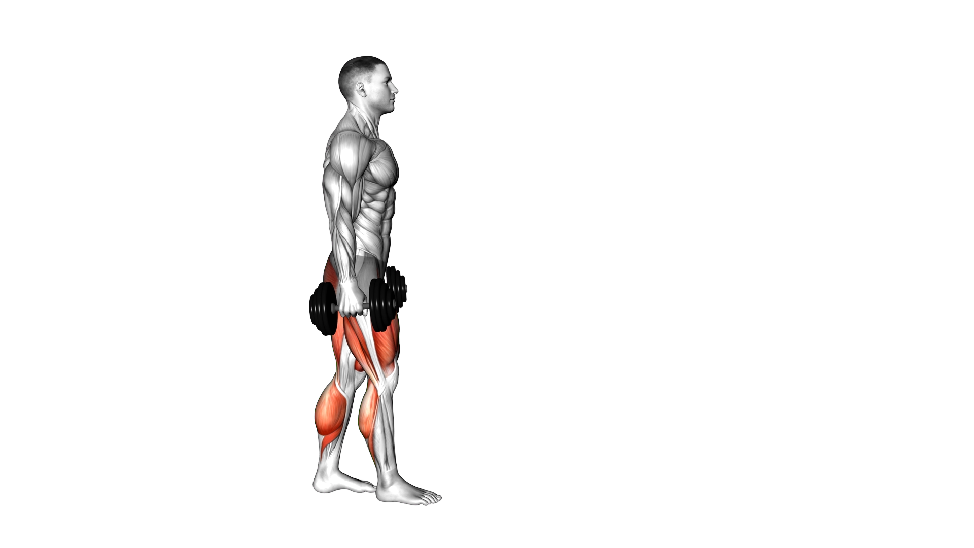 Dumbbell RDL Death March exercise demonstration