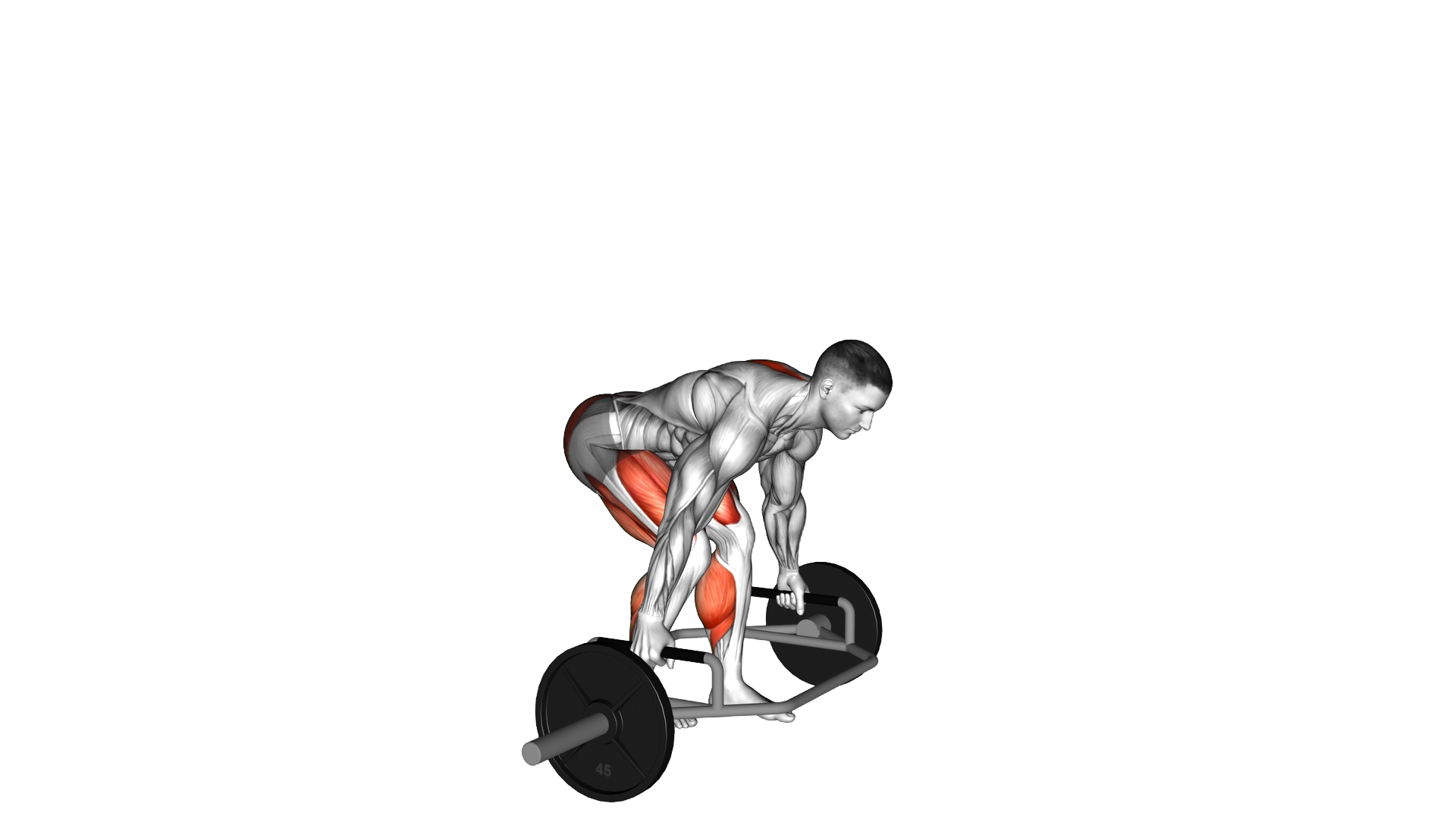 Trap Bar Split Stance RDL exercise demonstration