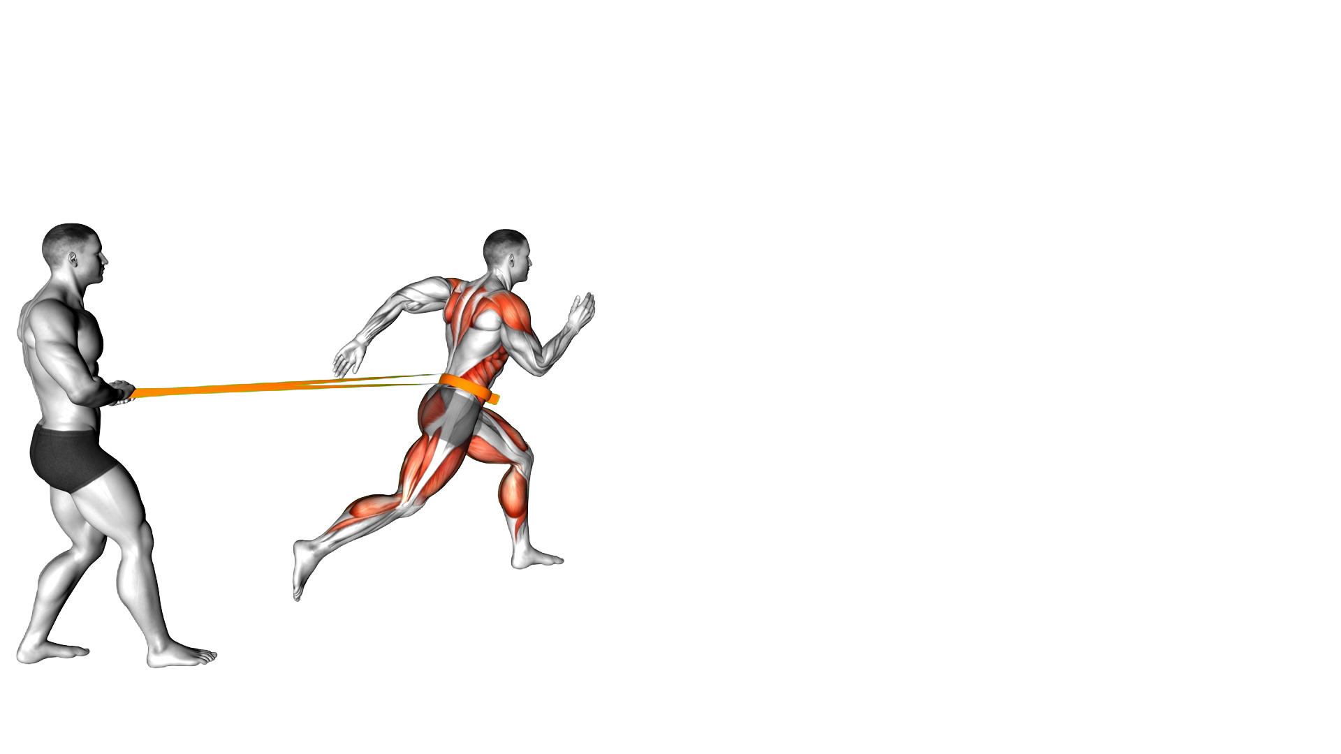 Band Assisted Sprinter Run exercise demonstration