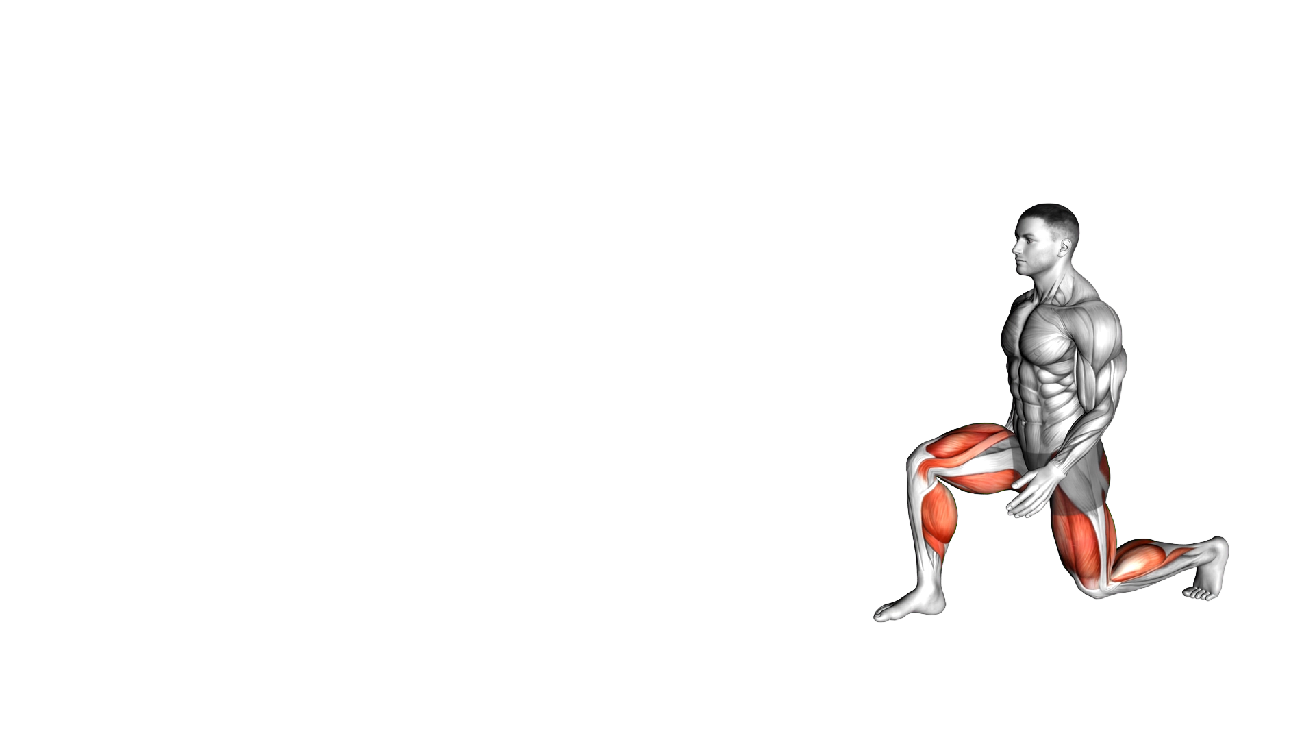 Walking High Knees Lunge exercise demonstration