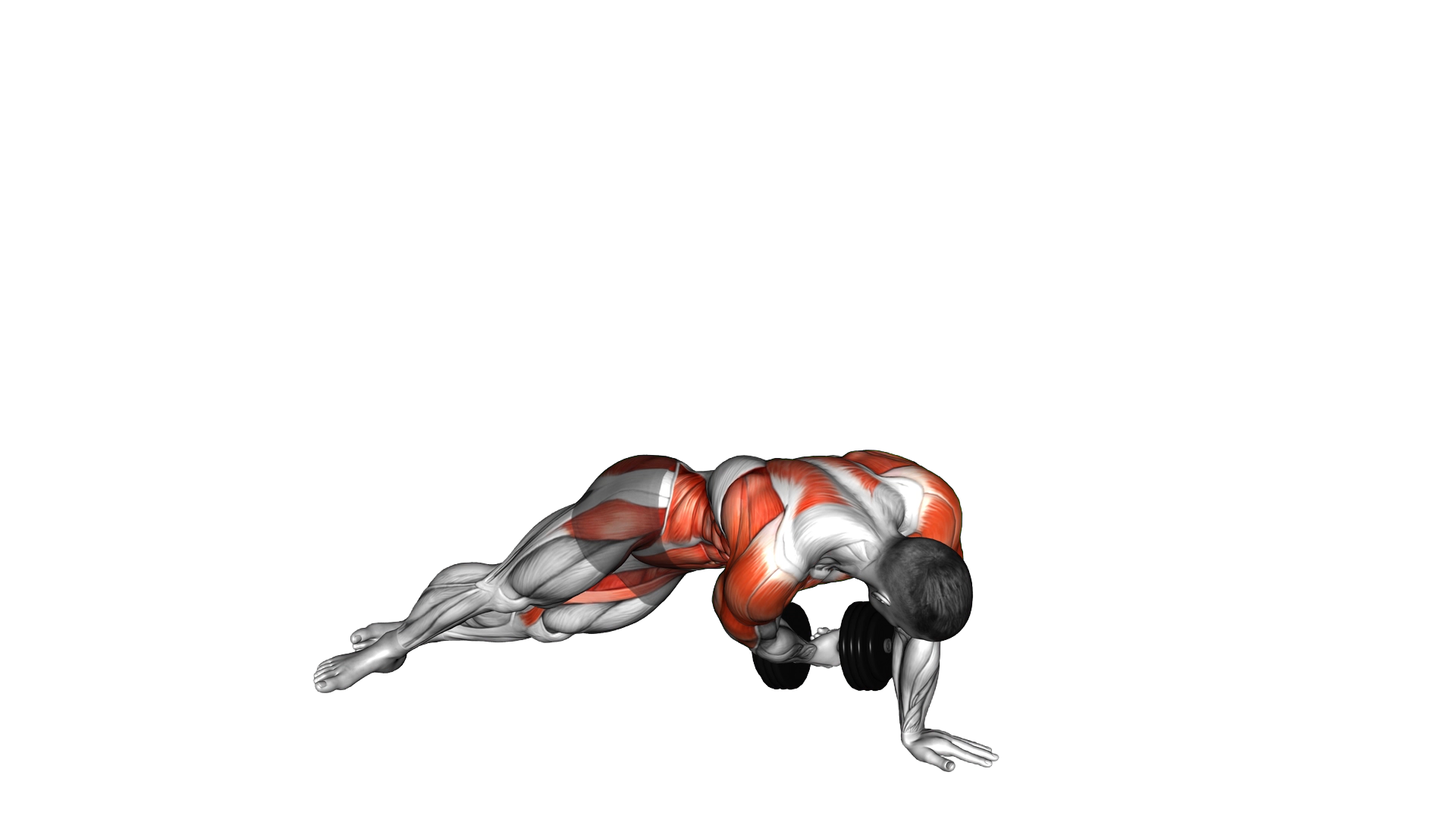 Dumbbell Side Plank with Rear Fly exercise demonstration
