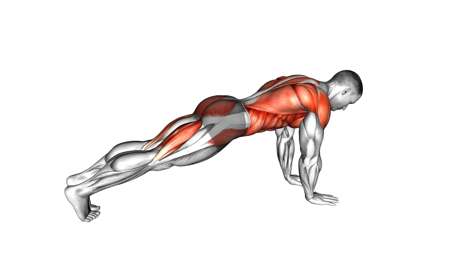 Power Point Plank exercise demonstration