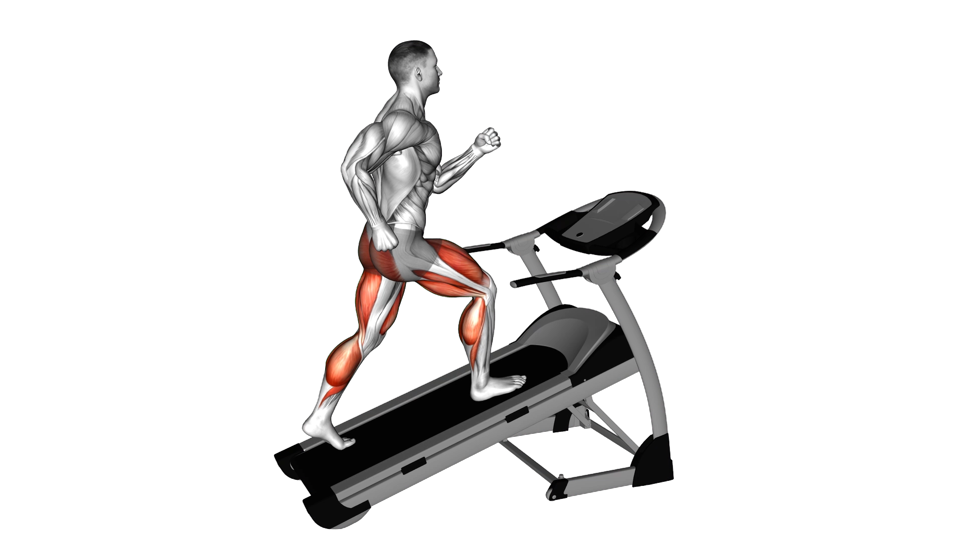Walking on Incline Treadmill exercise demonstration