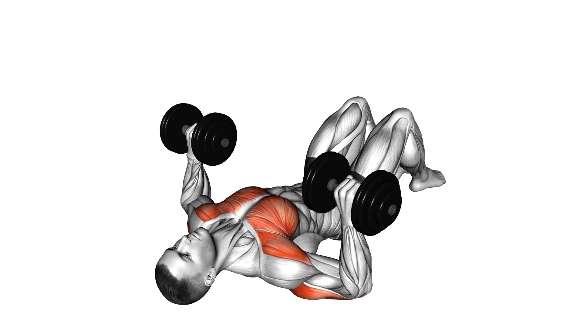 Dumbbell Lying on Floor Chest Press exercise demonstration