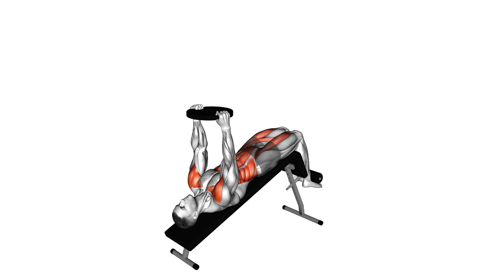 Weighted Decline Sit up exercise thumbnail