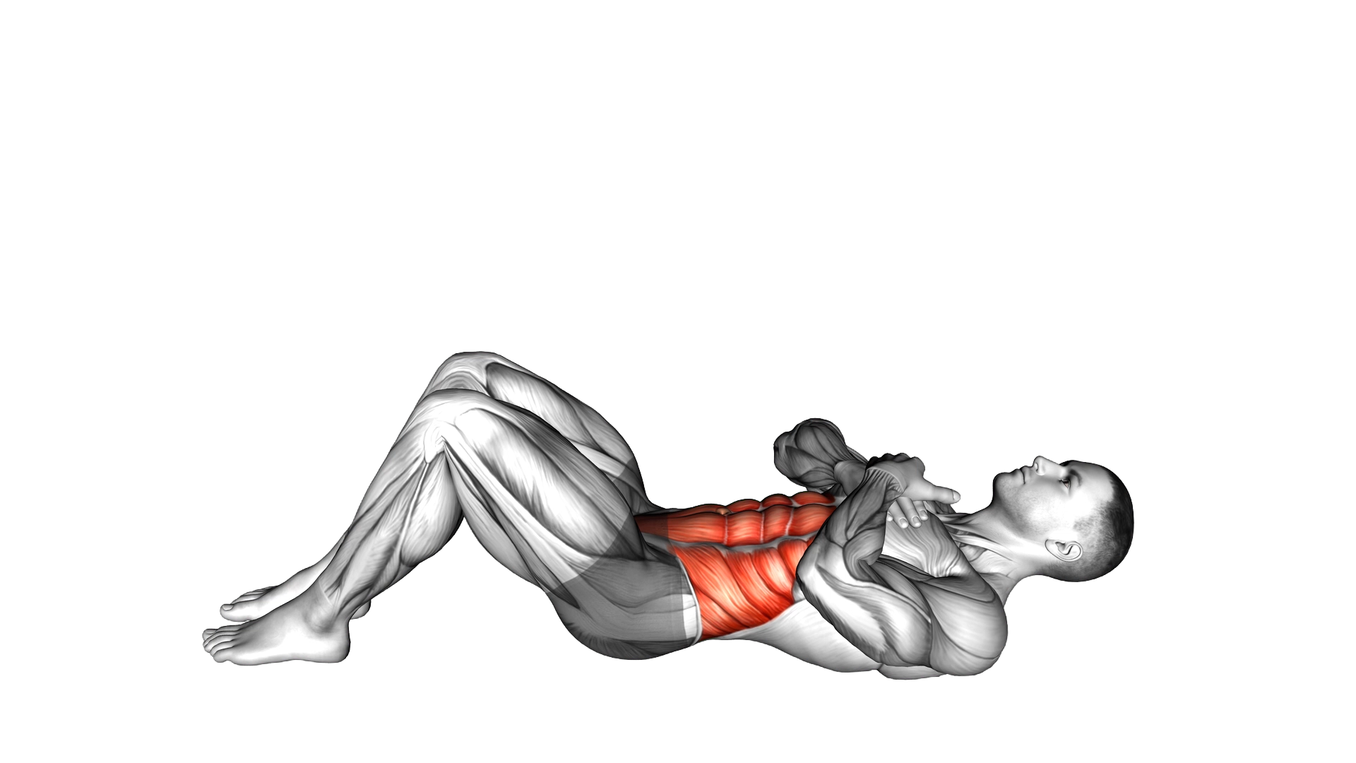Sit up with Arms on Chest exercise demonstration