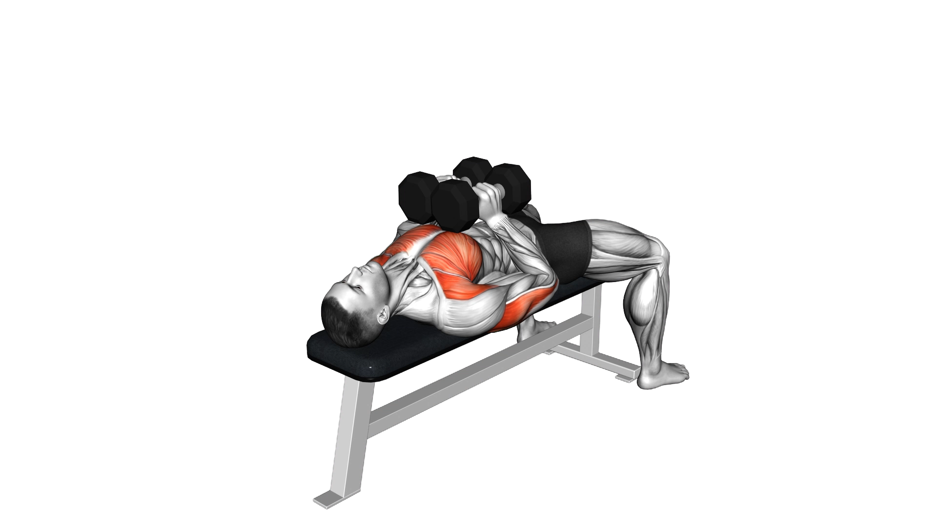 Dumbbell Squeeze Bench Press exercise demonstration