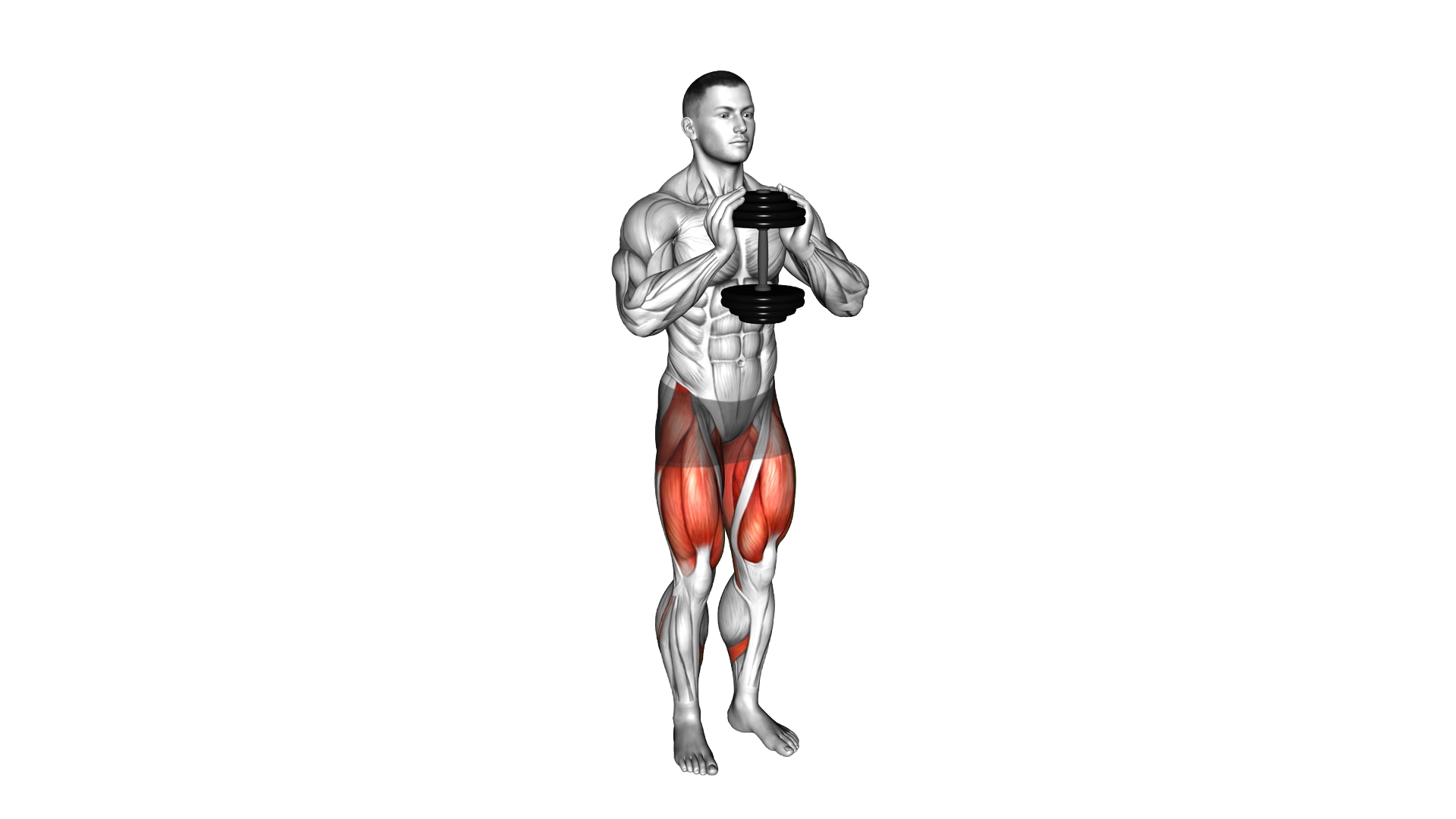 Dumbbell Gobelt Curtsey Lunge exercise demonstration