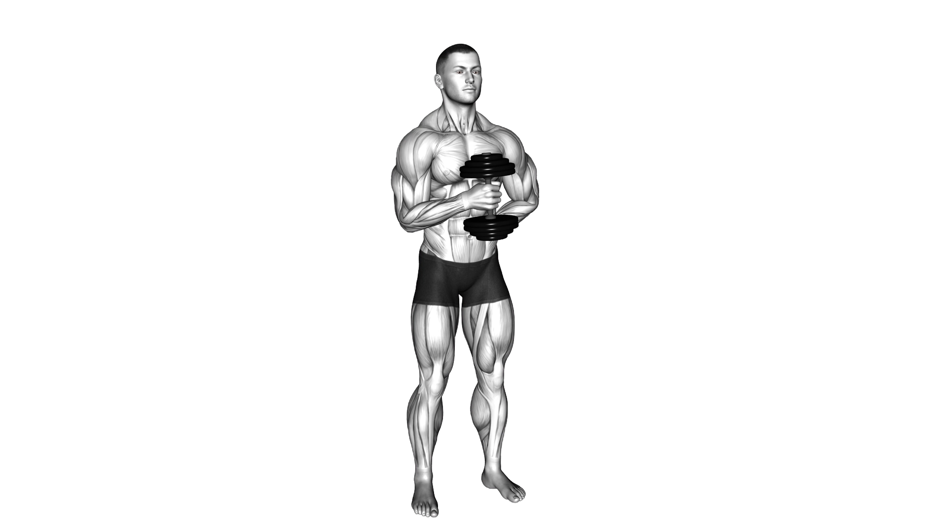 Dumbbell External Rotation exercise demonstration