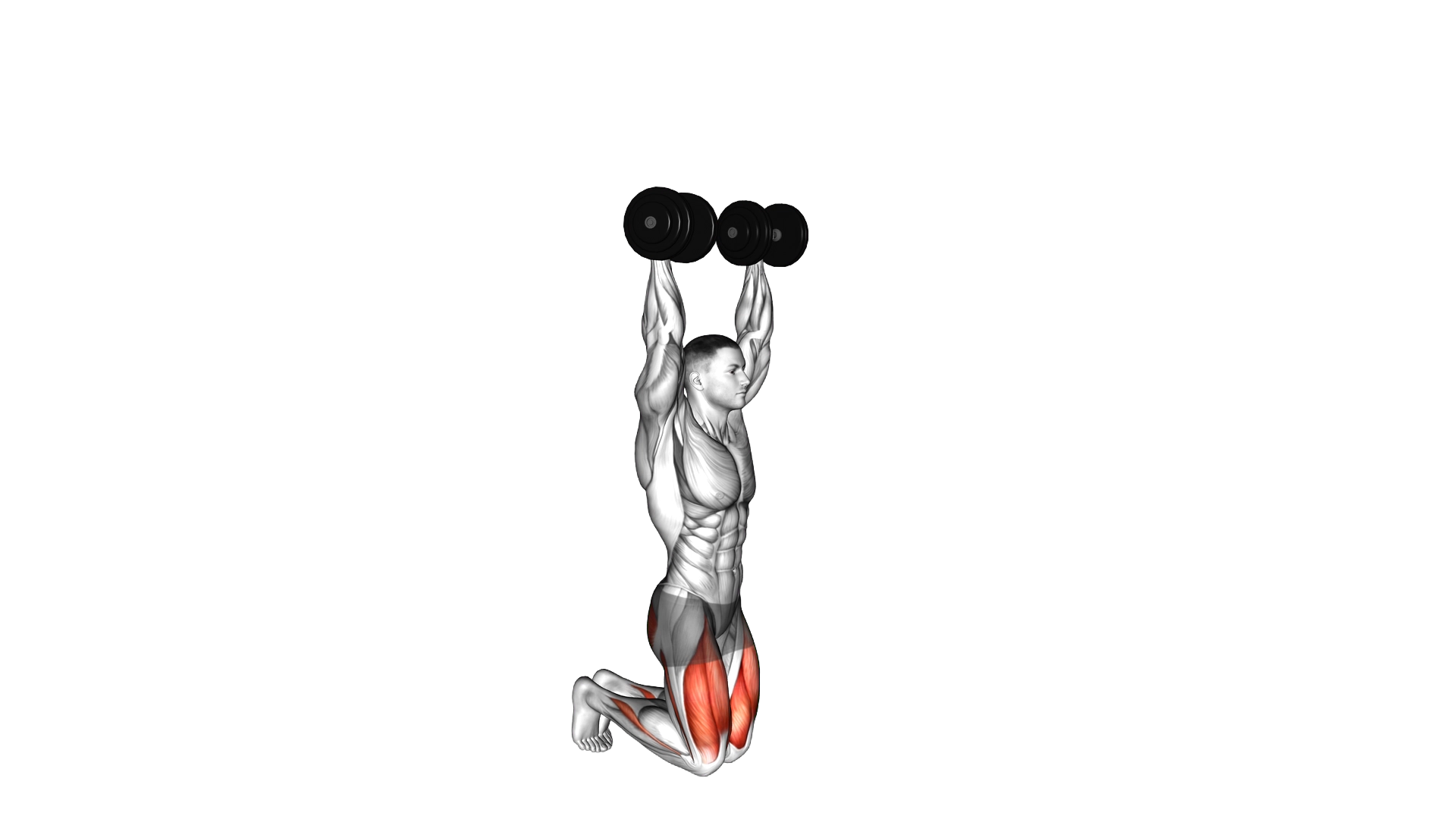 Dumbbell Kneeling Hold to Stand exercise demonstration