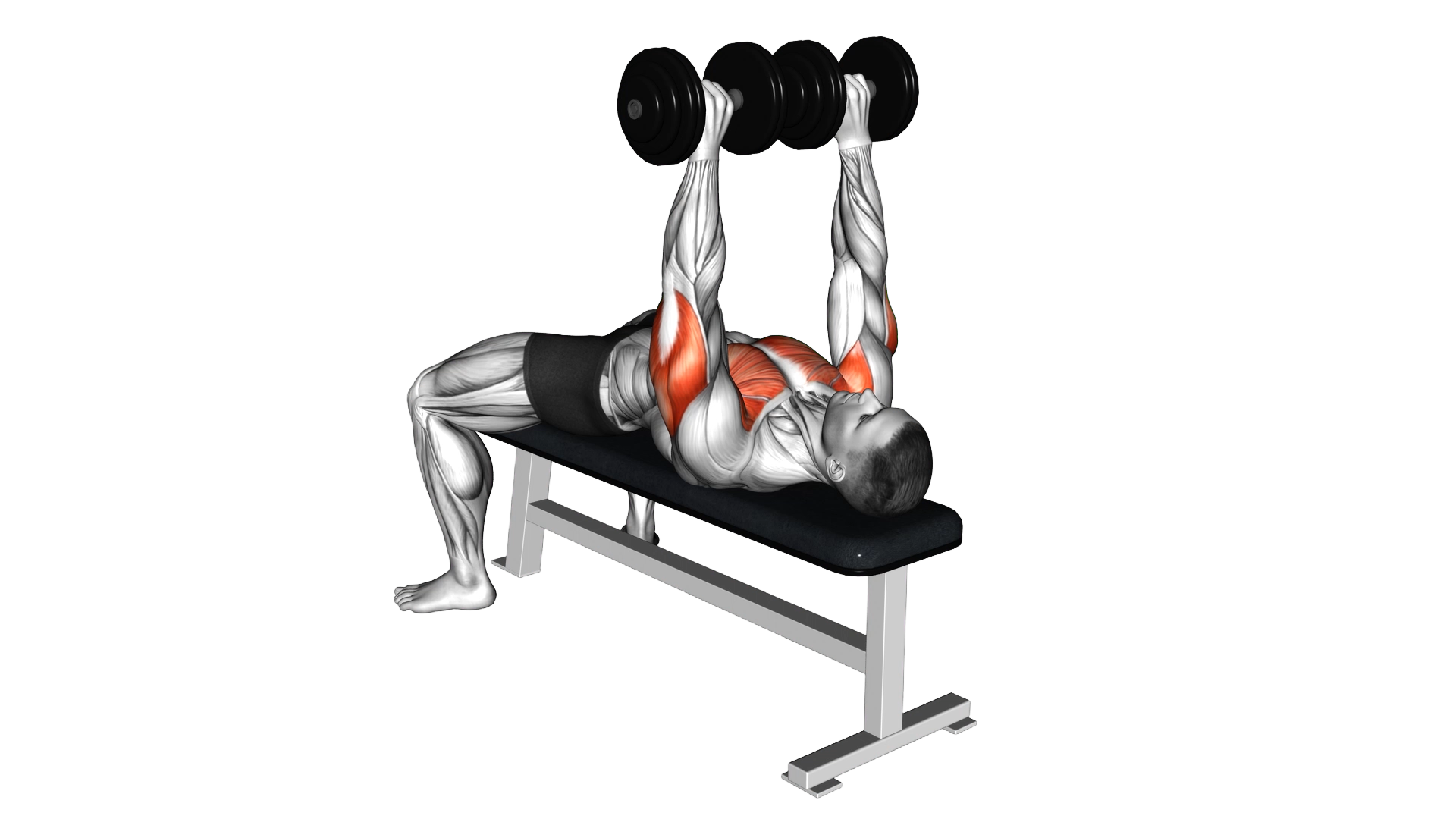 Dumbbell Alternate Bench Press (high start) exercise demonstration