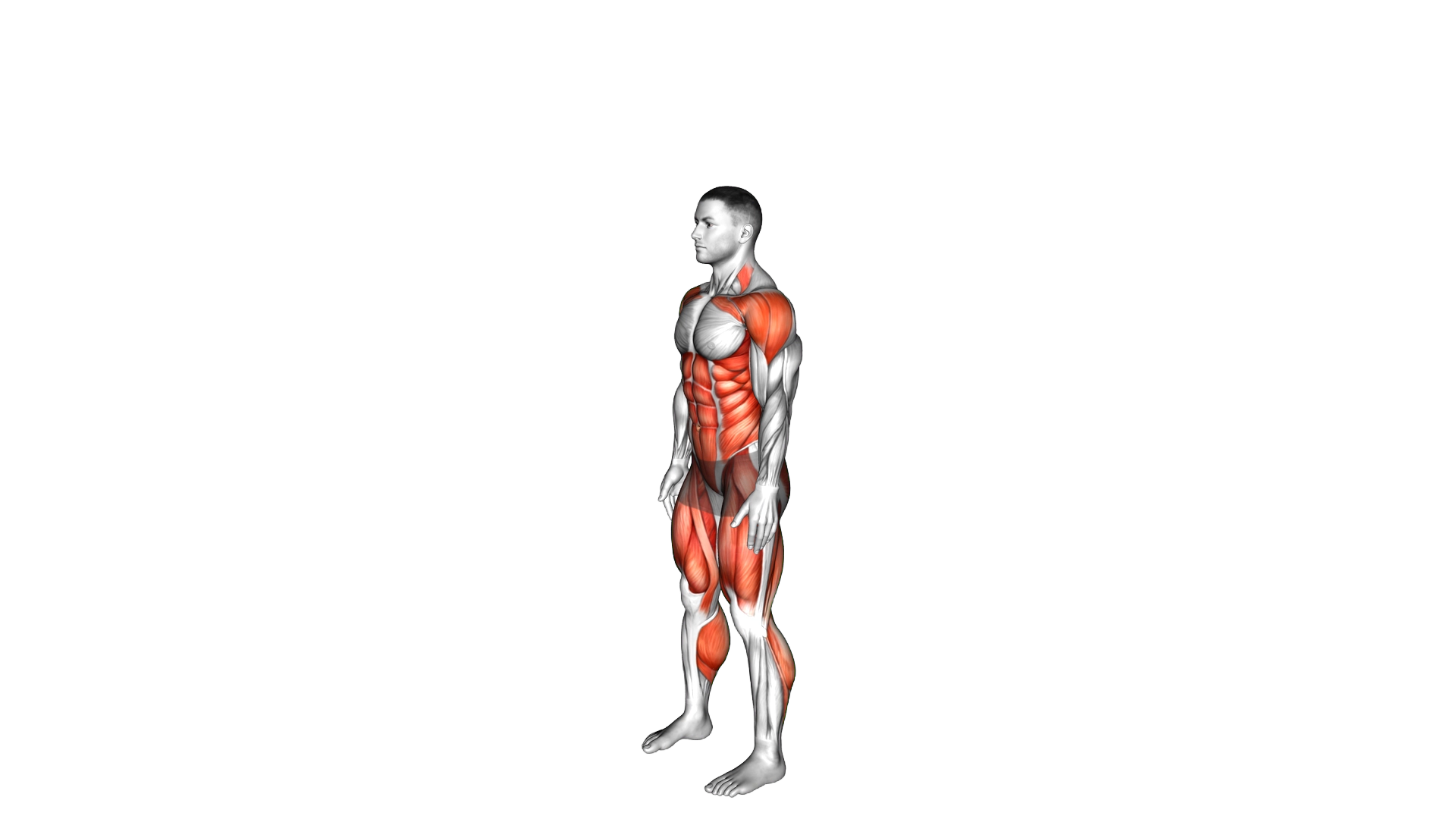Tuck Jump exercise demonstration