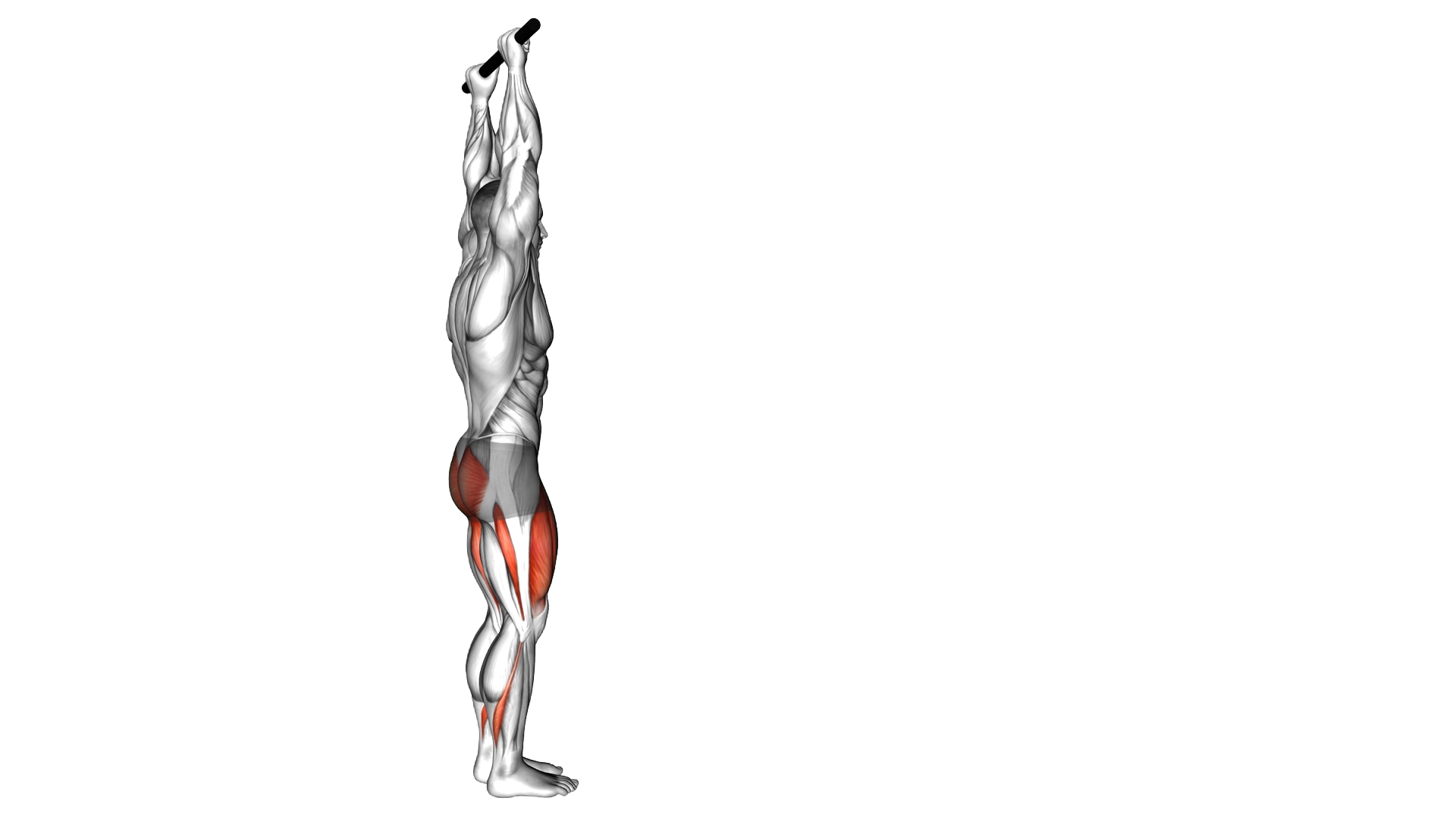 Forward Pulse Lunge with Hands Overhead exercise demonstration