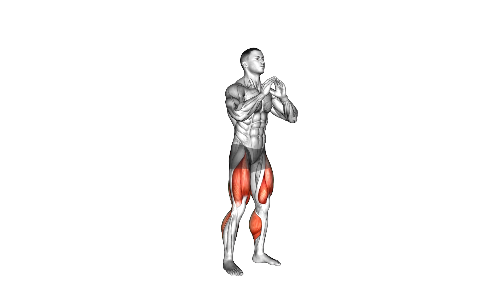 Double Jump Squat exercise demonstration