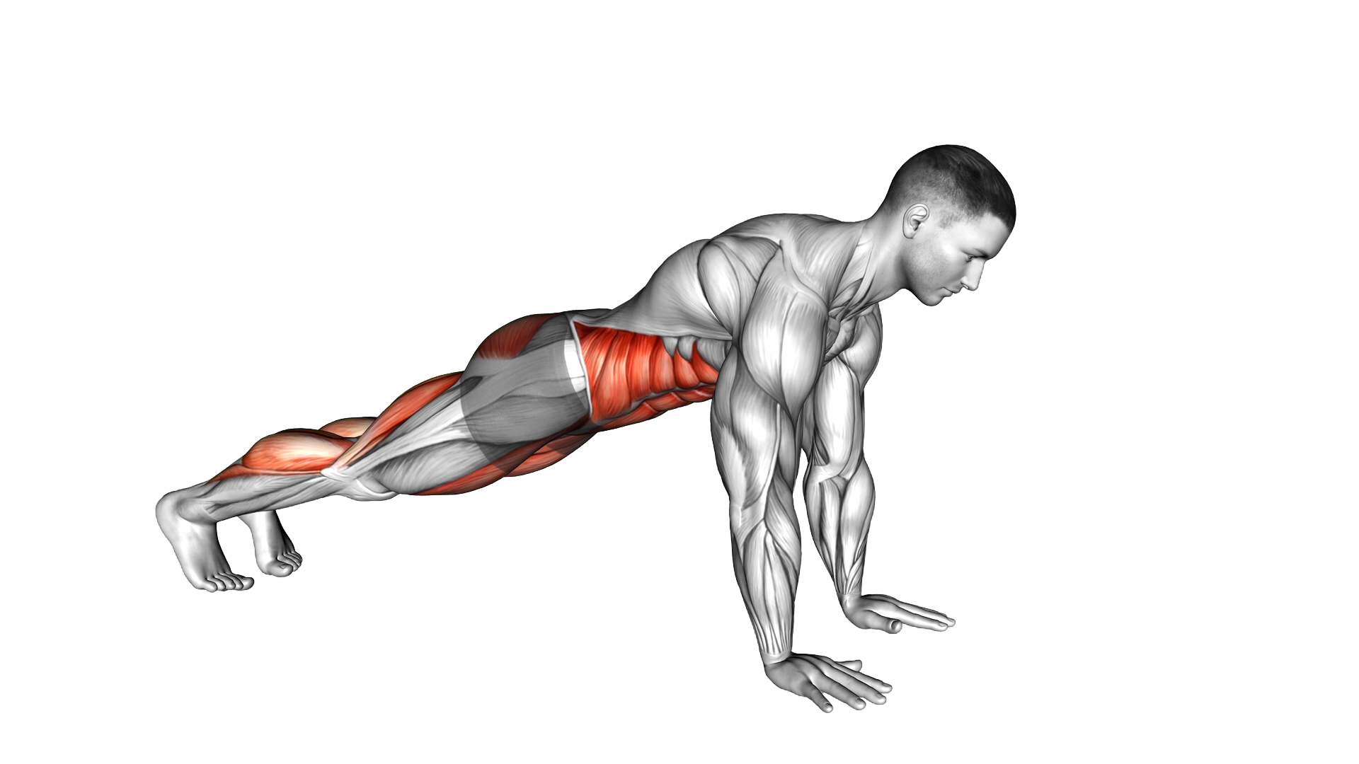 Squat Thrust exercise demonstration