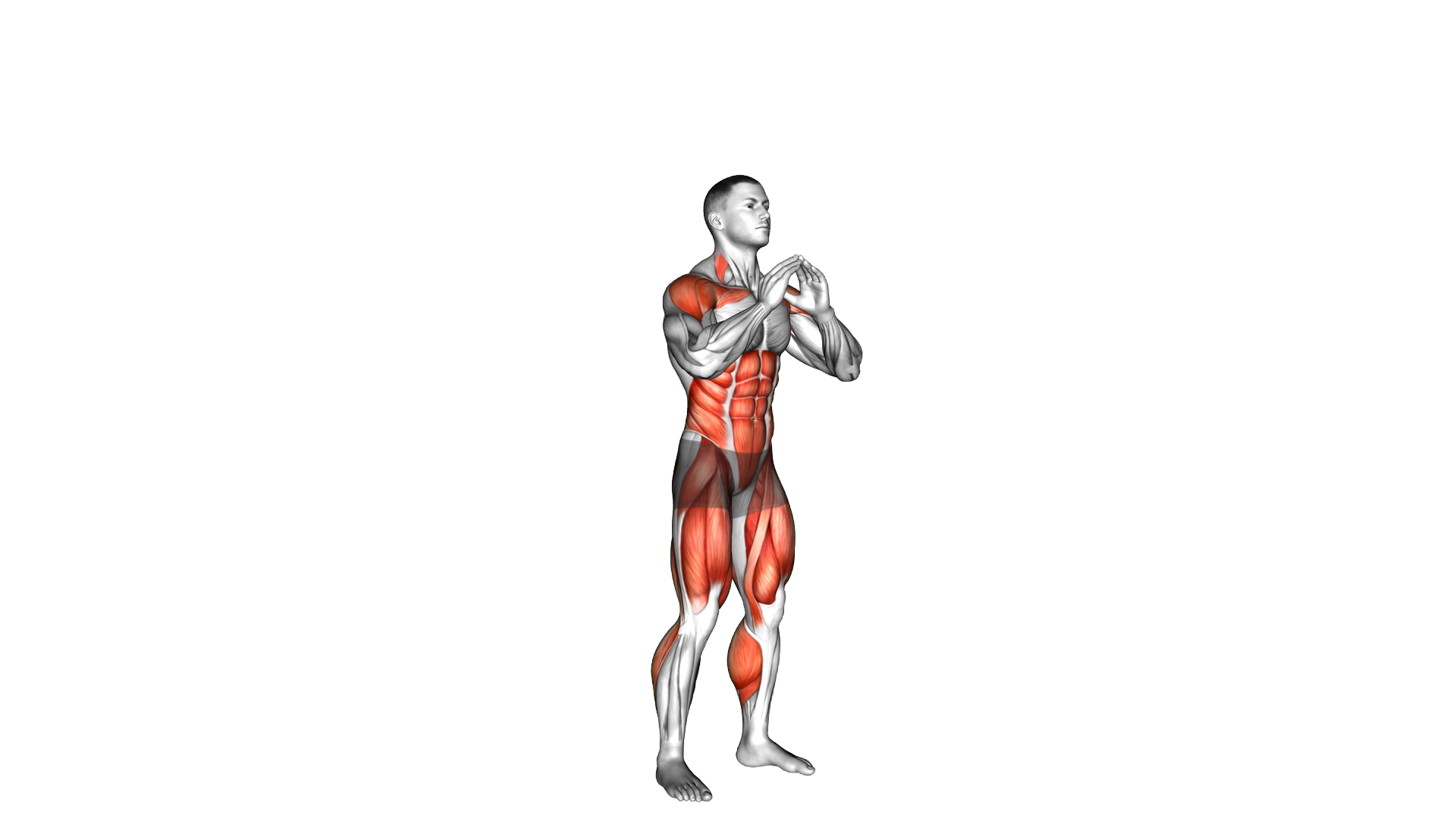 Squat Tuck Jump exercise demonstration