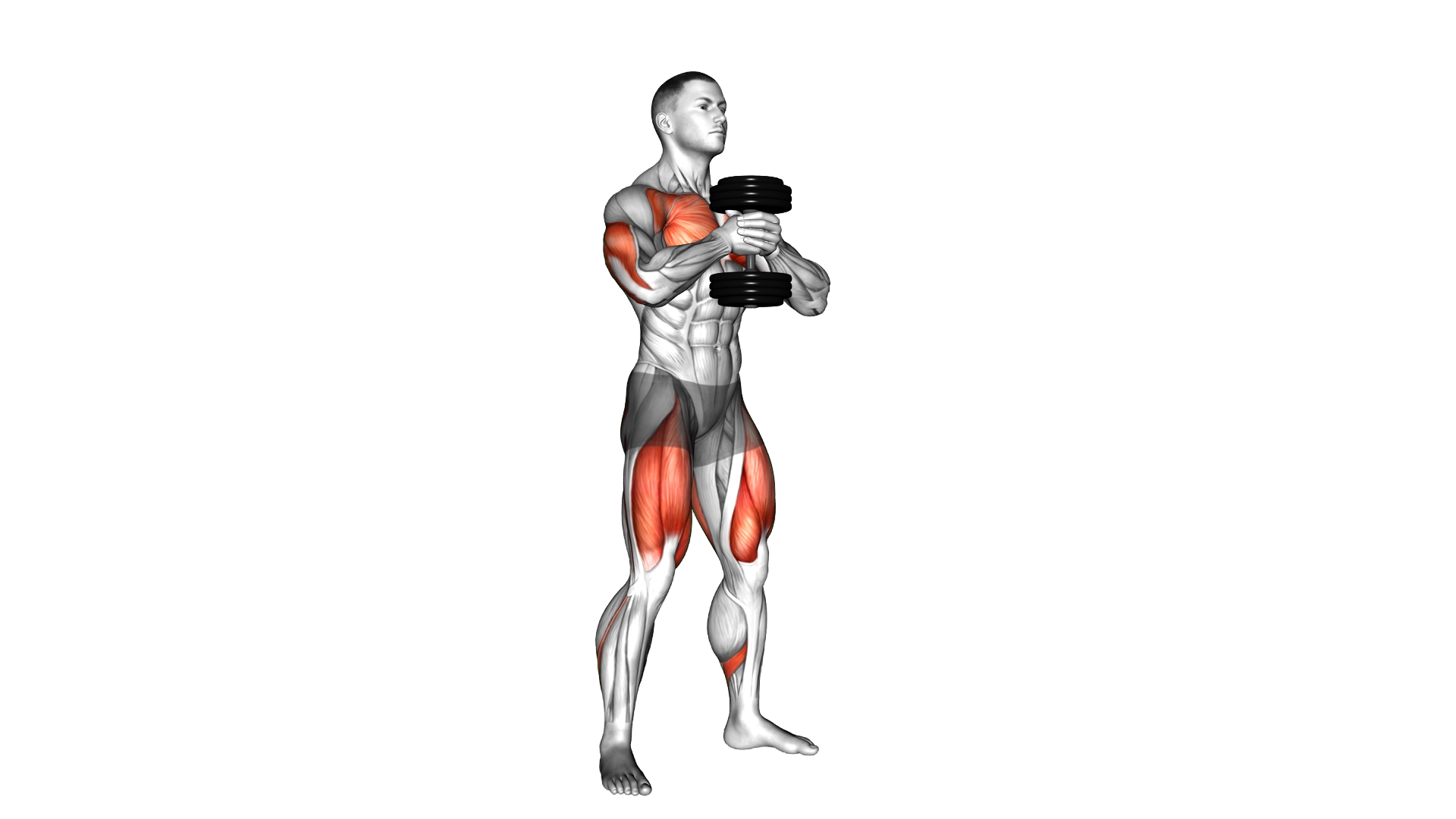 Dumbbell Press Squat exercise demonstration