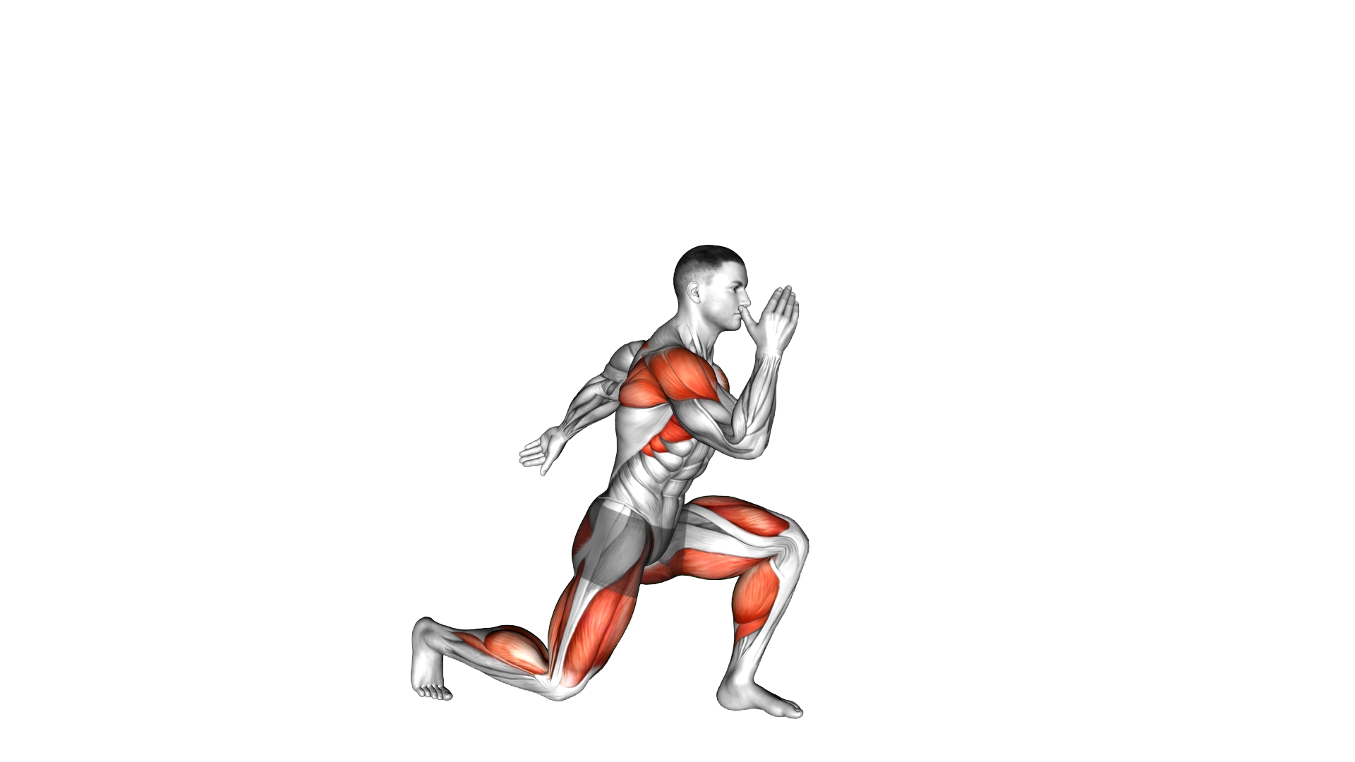 Cardio Lunge exercise demonstration