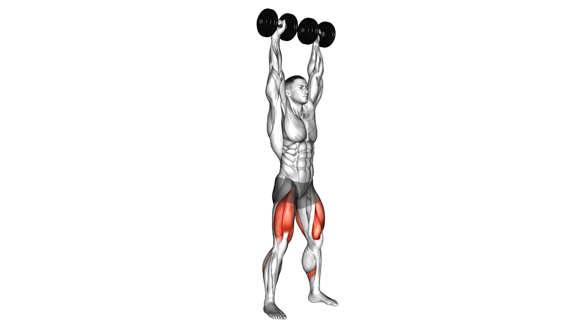 Dumbbell Overhead Squat exercise demonstration