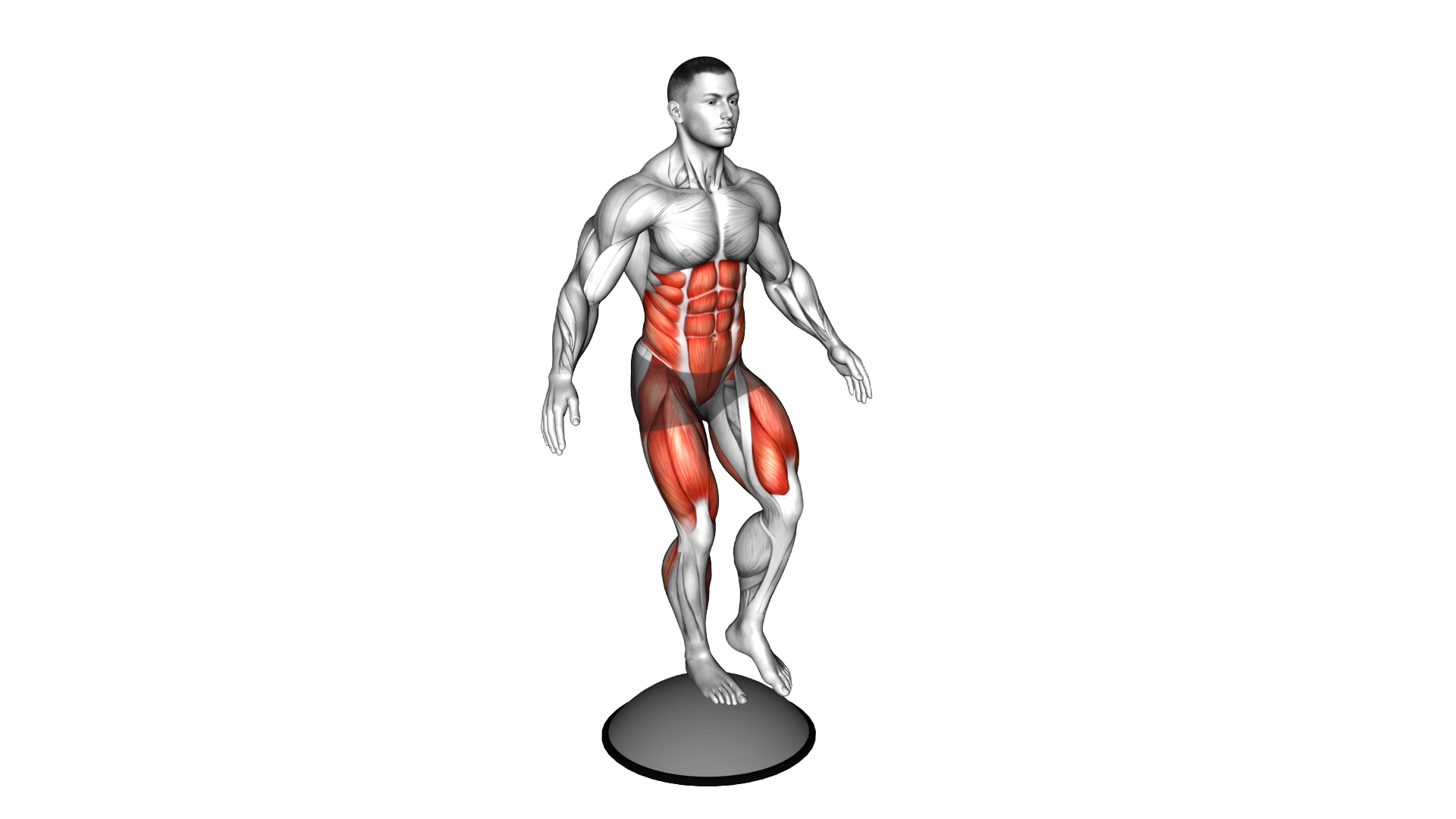 Single Leg Stand on Bosu Ball exercise thumbnail