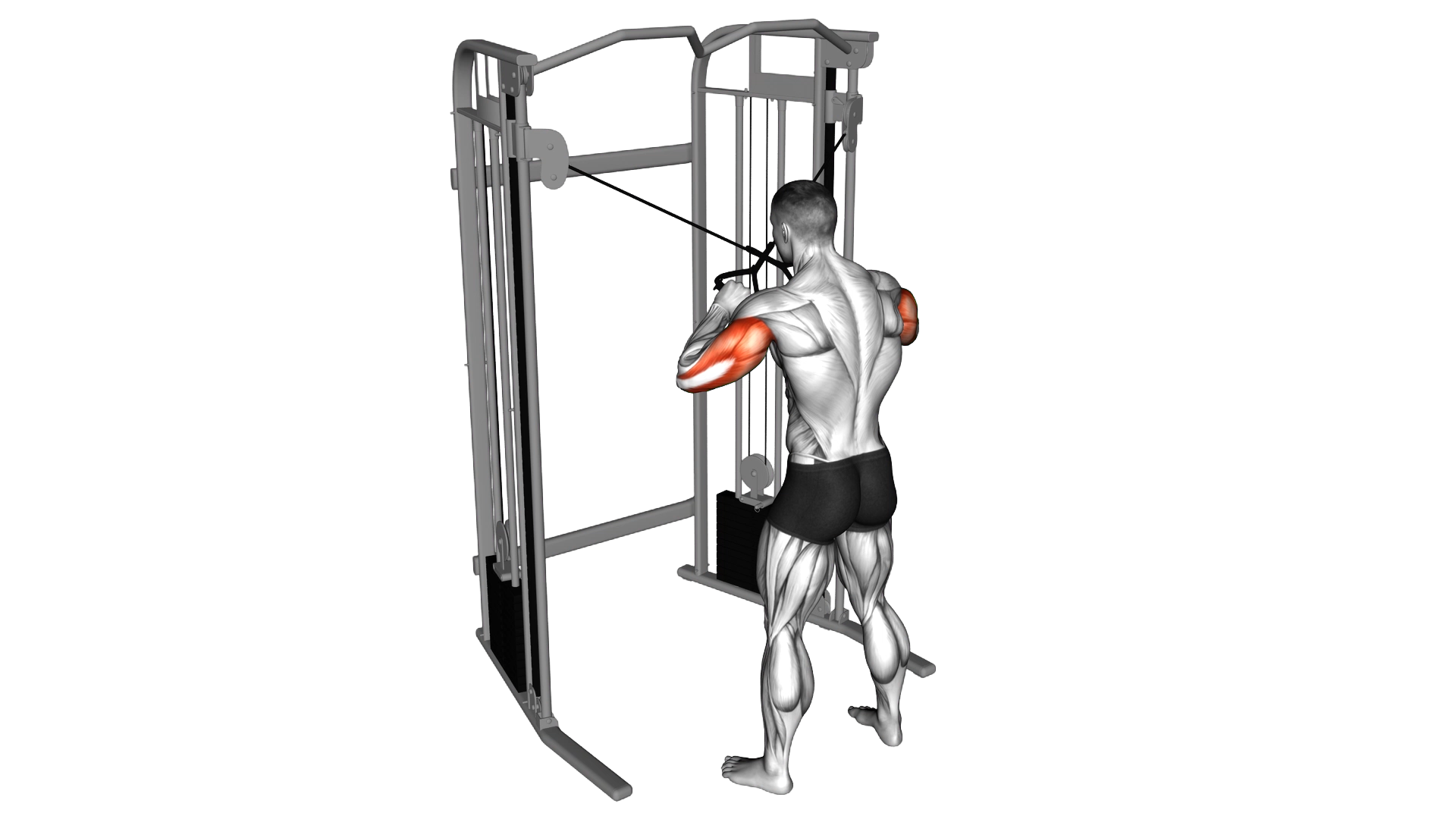 Cable Standing High Cross Triceps Extension exercise demonstration