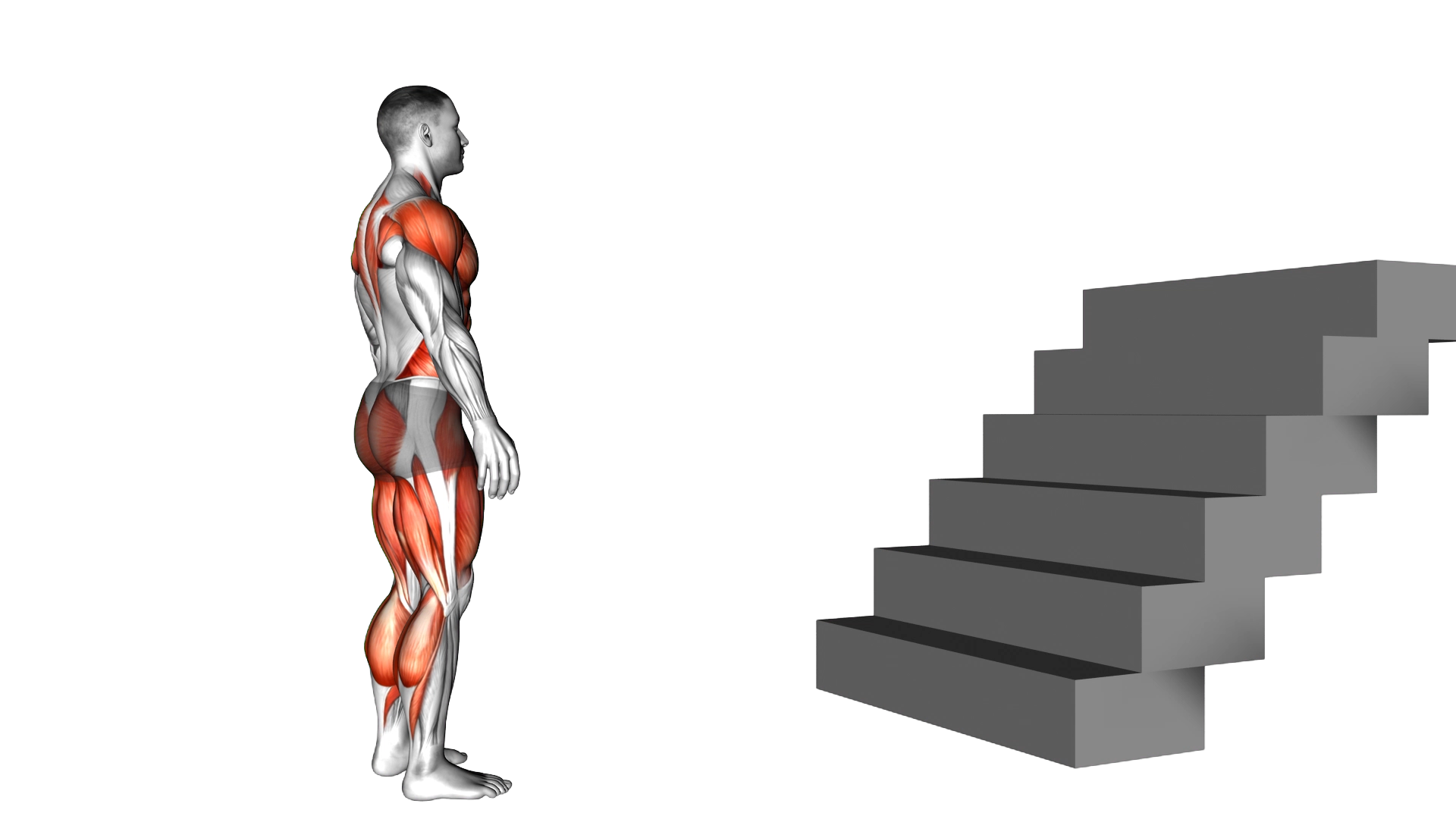 Stair Jump exercise thumbnail