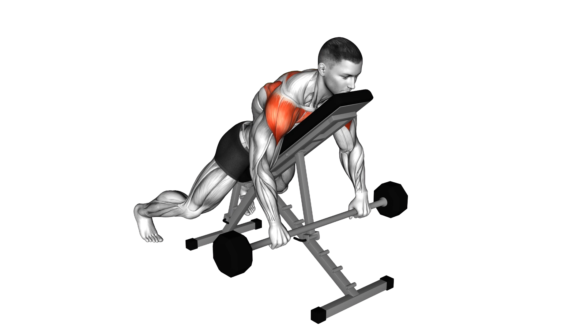 Barbell Incline Lying Rear Delt Raise exercise demonstration