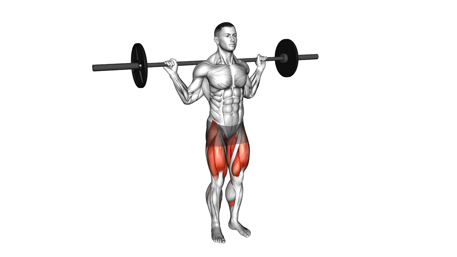 Barbell Curtsey Lunge exercise demonstration