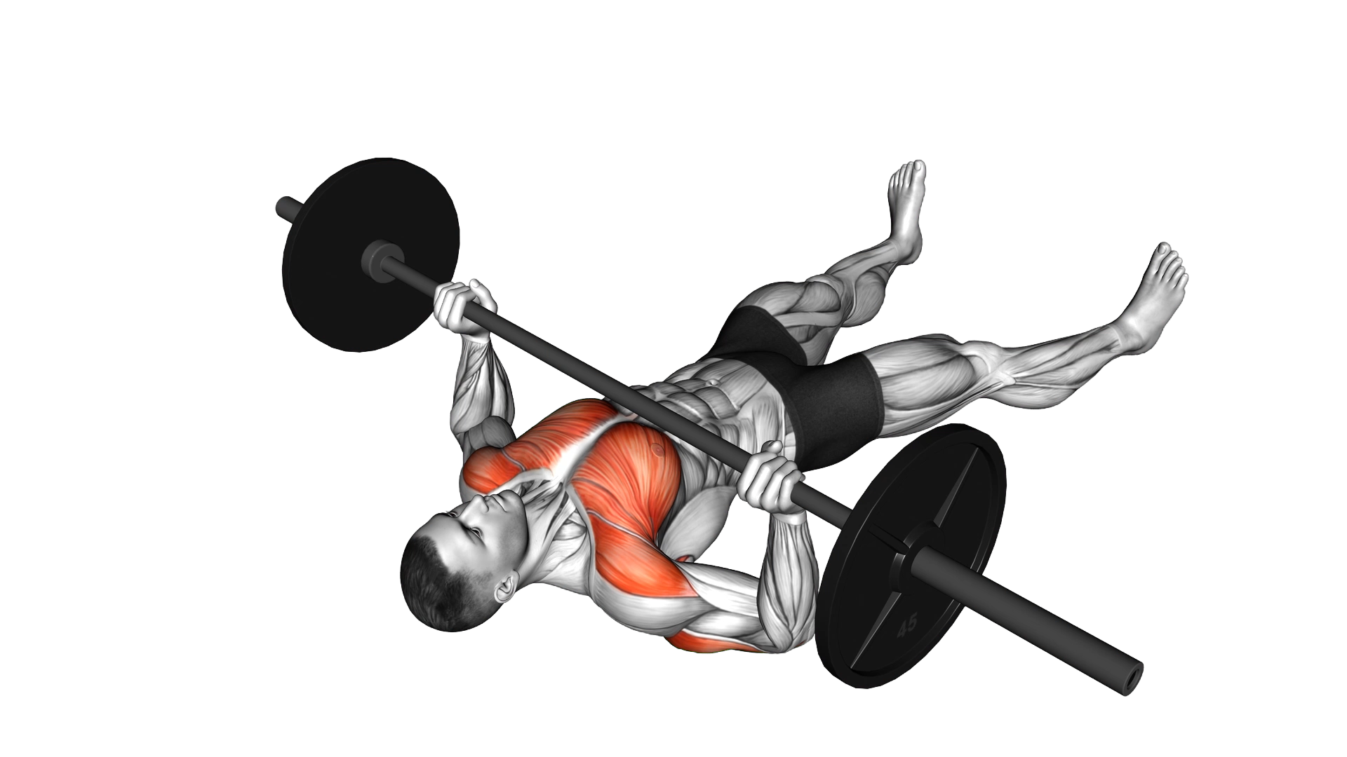 Barbell Floor Chest Press exercise demonstration