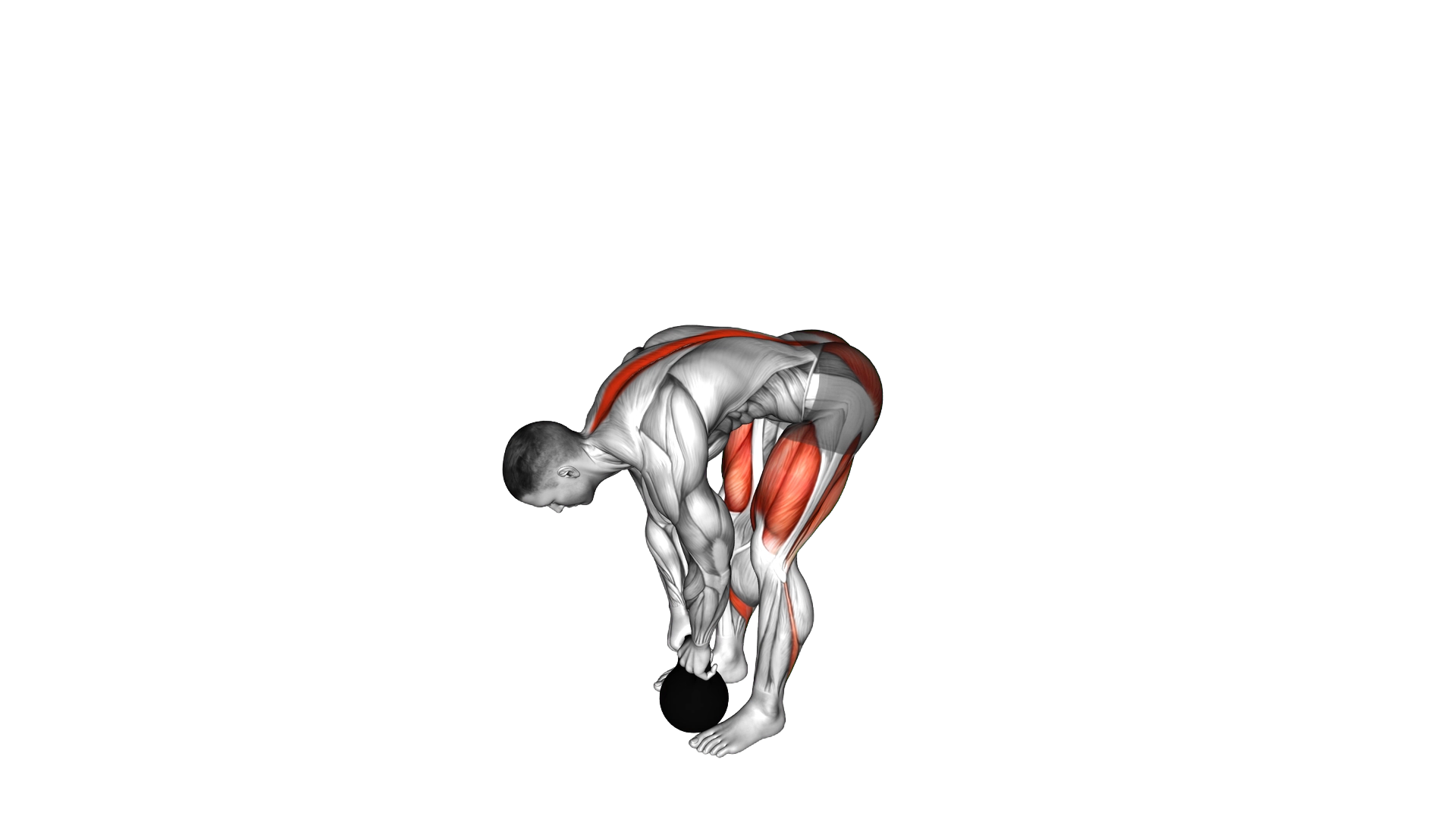 Kettlebell Straight leg Deadlift exercise demonstration