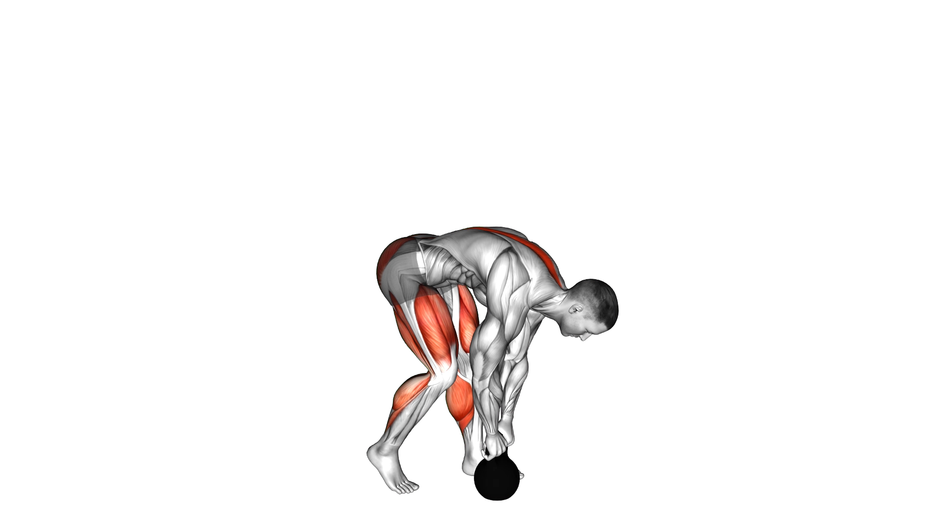 Kettlebell Kickstand One Leg Deadlift exercise demonstration