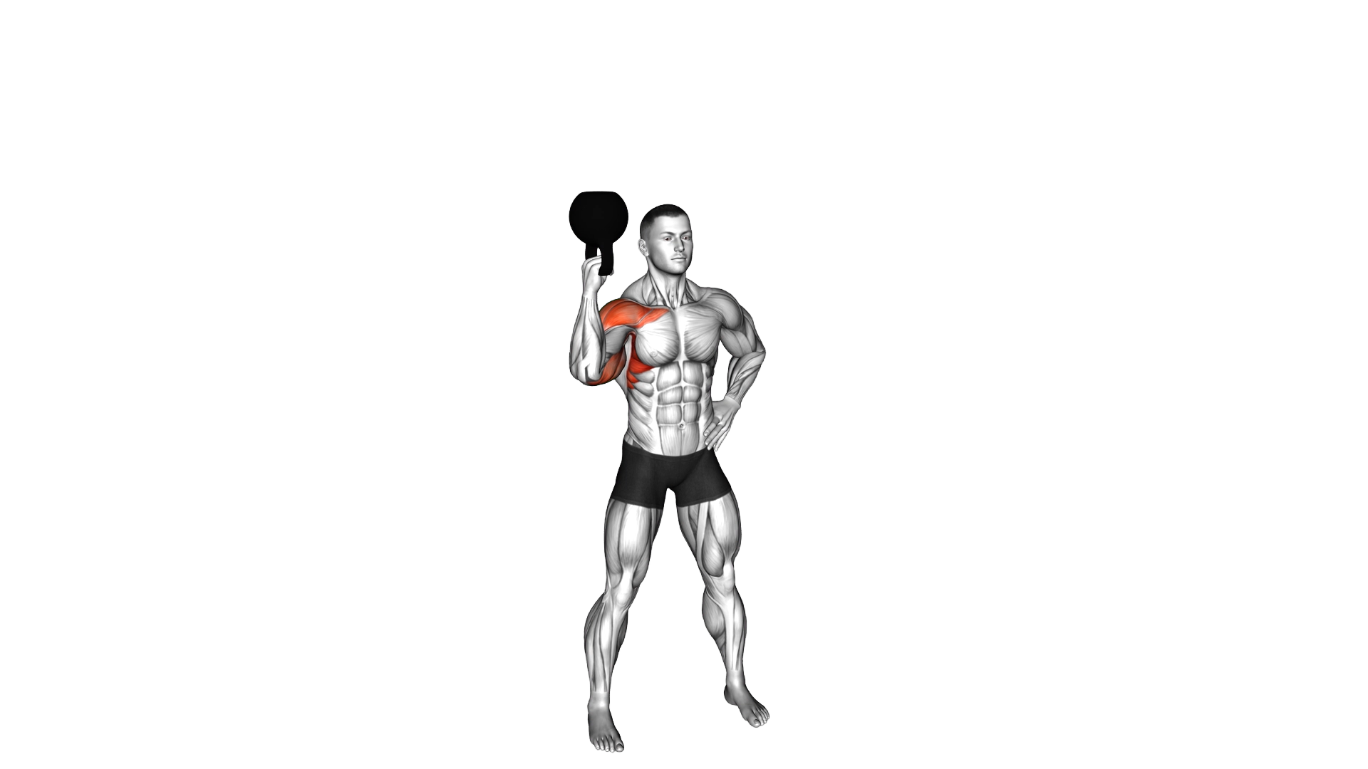 Kettlebell Standing Bottoms Up One Arm Shoulder Pr exercise demonstration