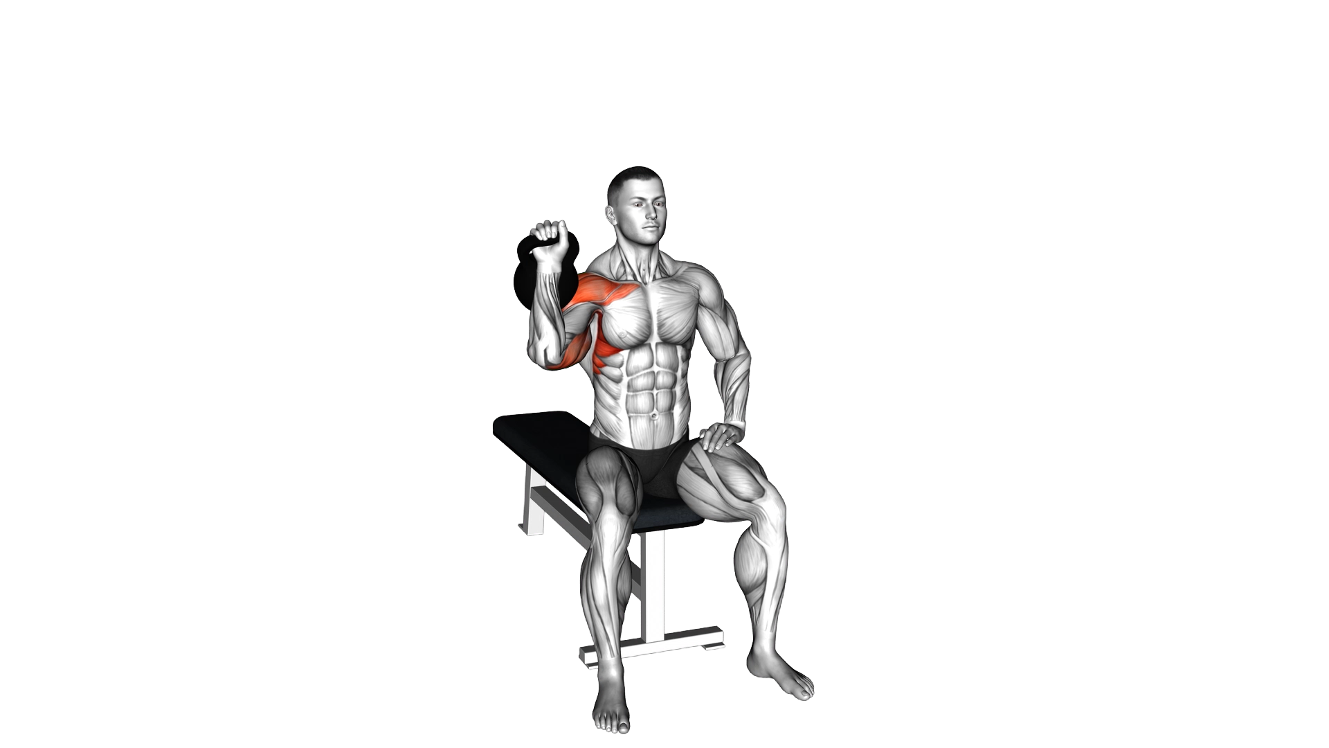 Kettlebell Seated One Arm Military Press exercise demonstration