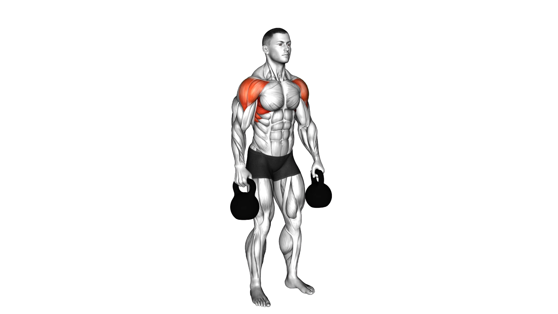 Kettlebell Lateral Raise exercise demonstration