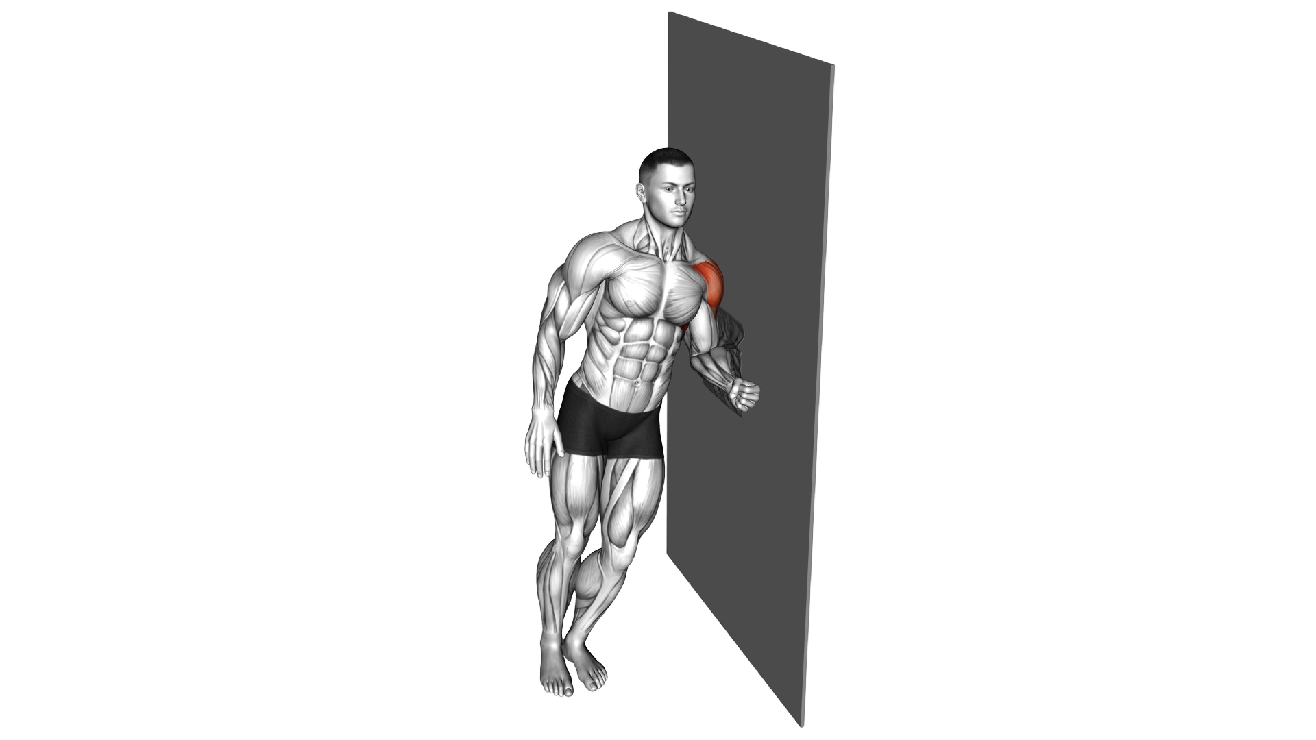 Lateral Raise with Towel exercise demonstration