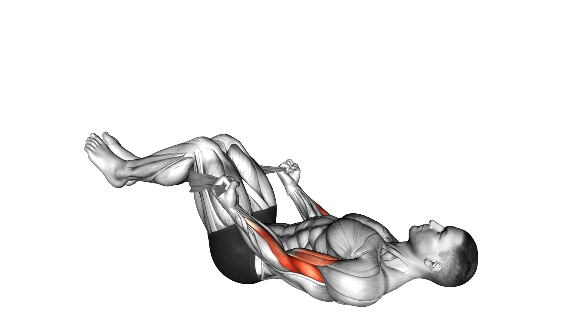 Lying Double Legs Biceps Curl with Towel exercise demonstration