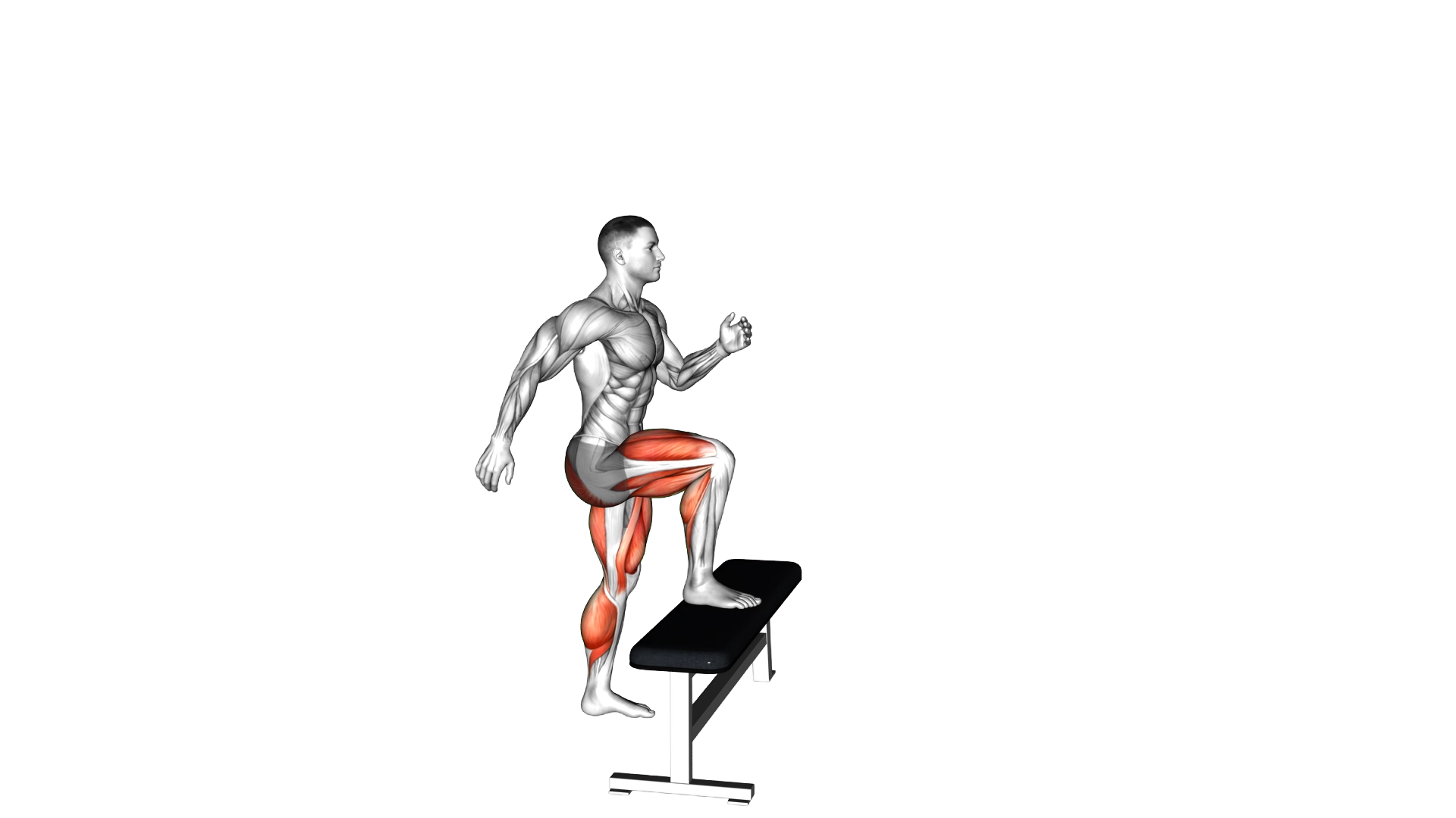 Jump Step Up exercise thumbnail