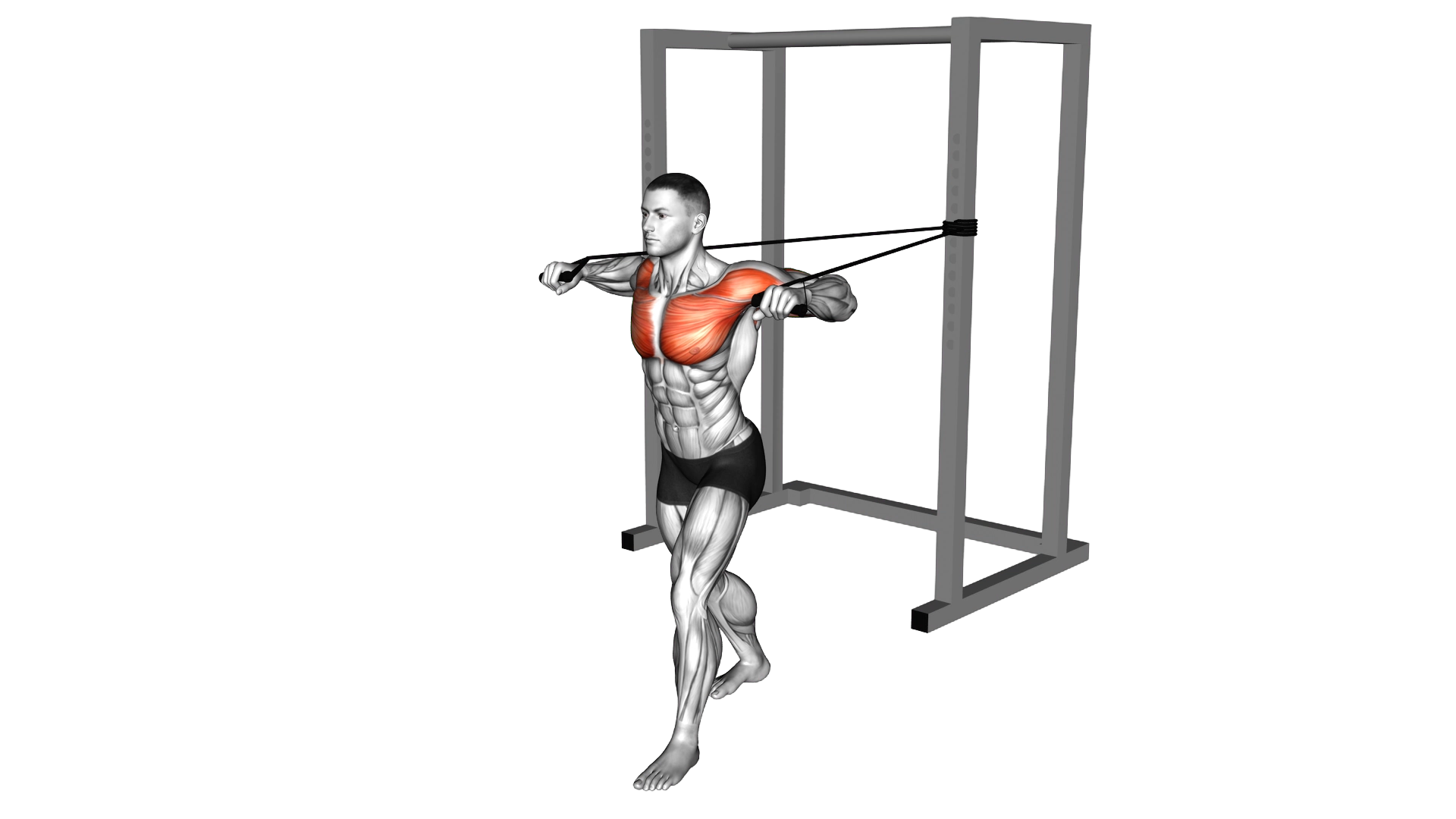 Band Standing Chest Press exercise demonstration
