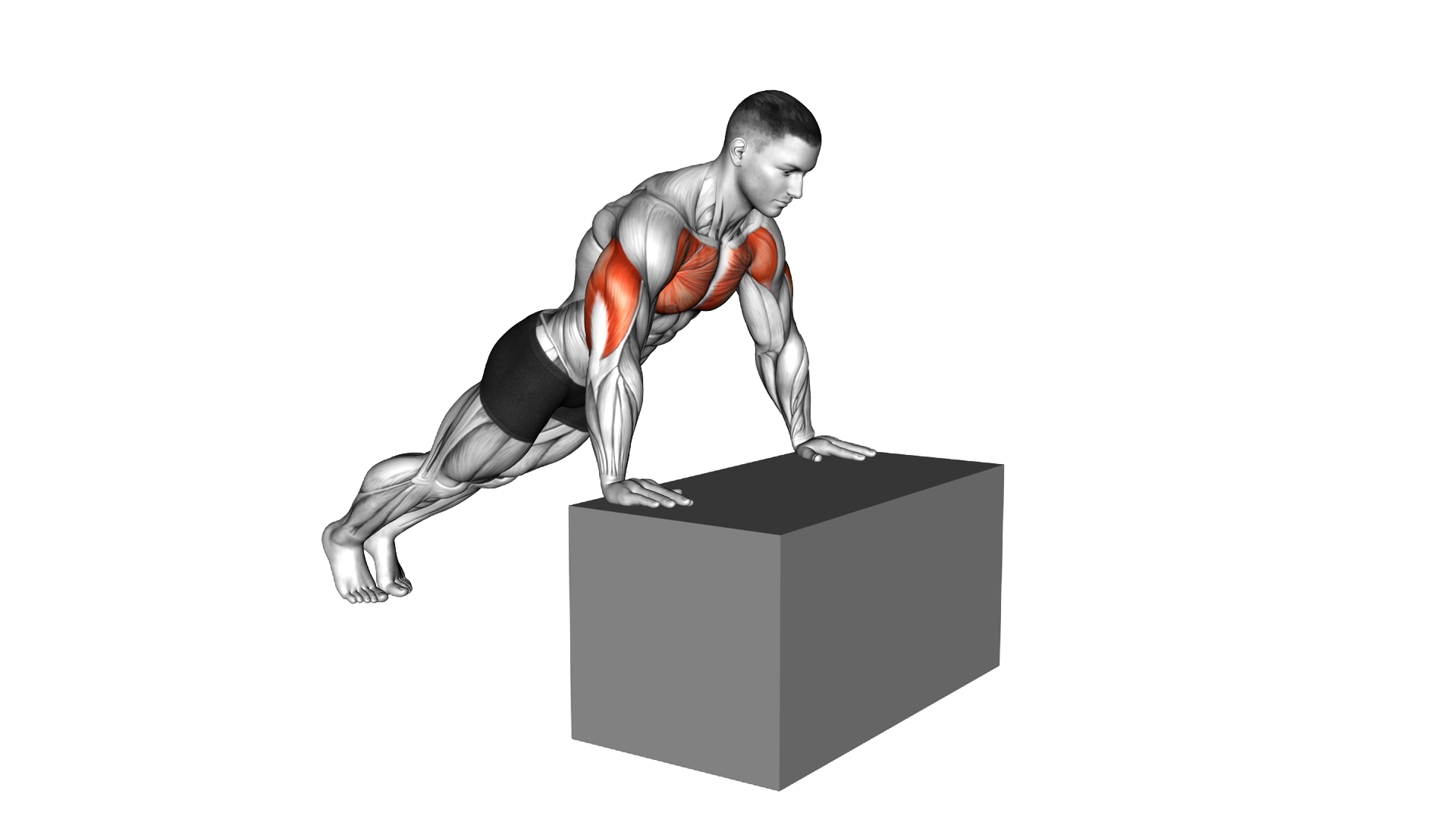 Incline Push Up (on box) exercise thumbnail