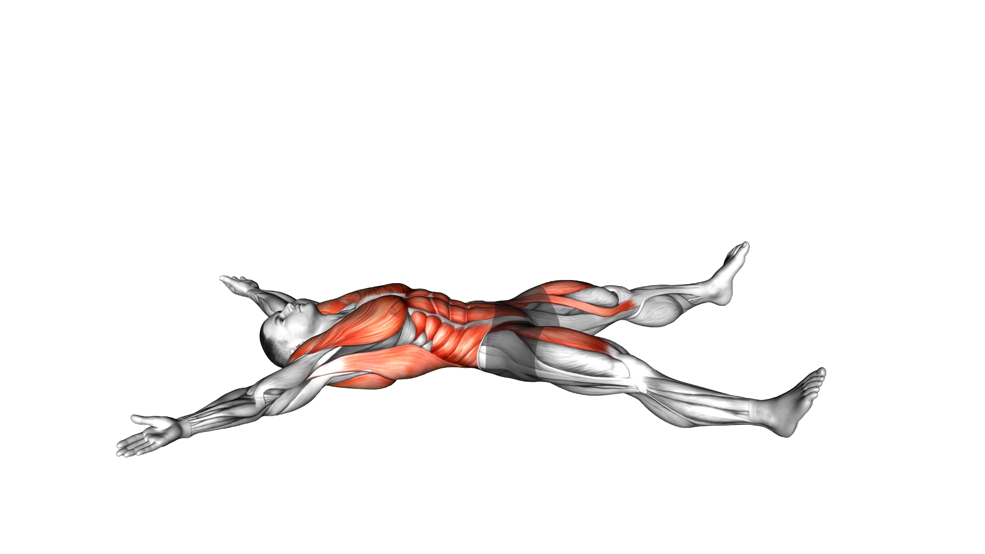Starfish Crunch (beginner) exercise demonstration