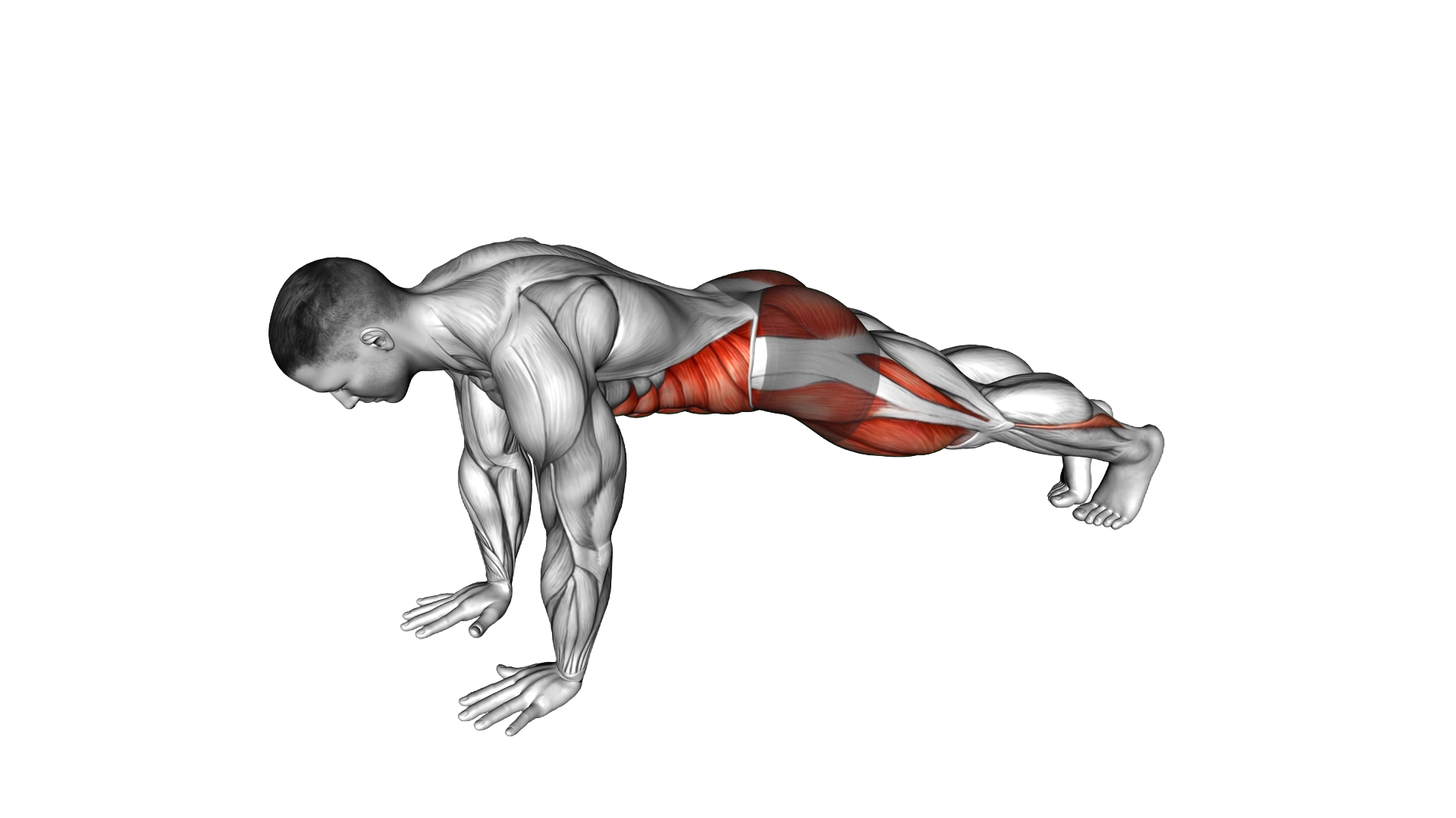 Front Plank Toe Tap exercise demonstration