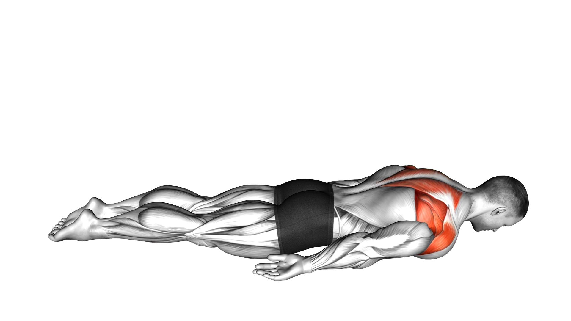 Pulse Row exercise demonstration