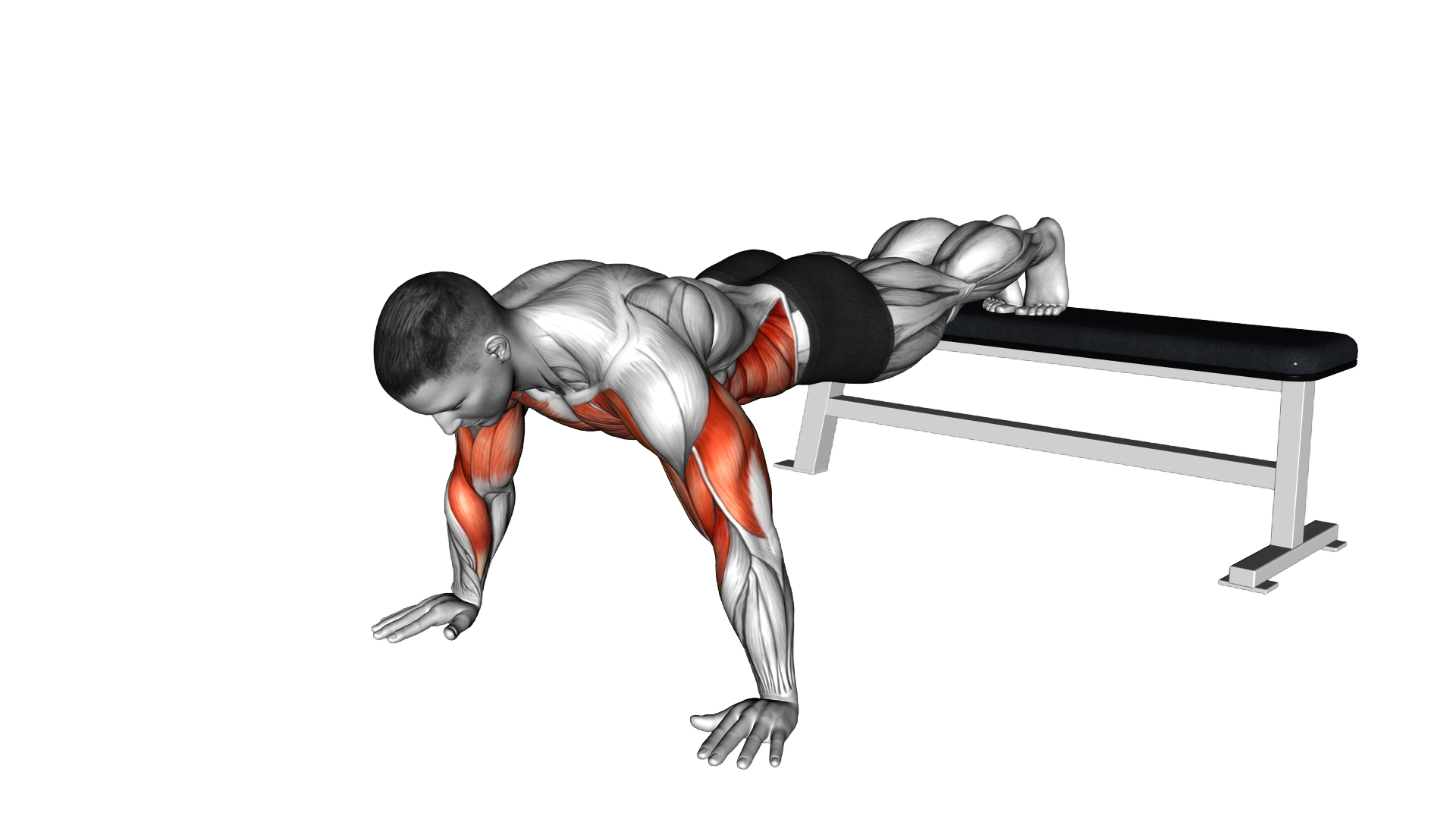 Decline Shoulder Tap exercise demonstration