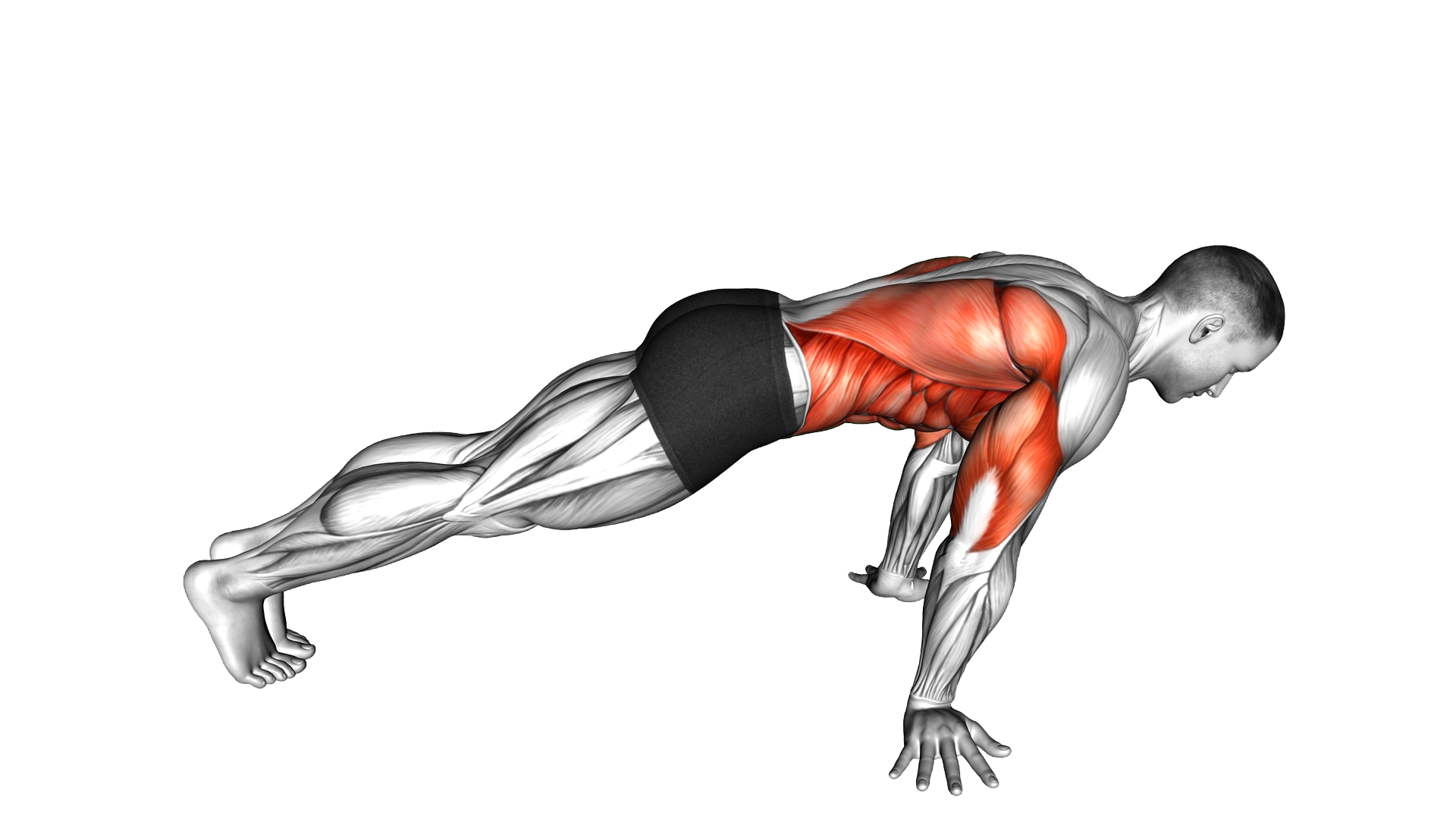 Pseudo Planche Push up exercise demonstration