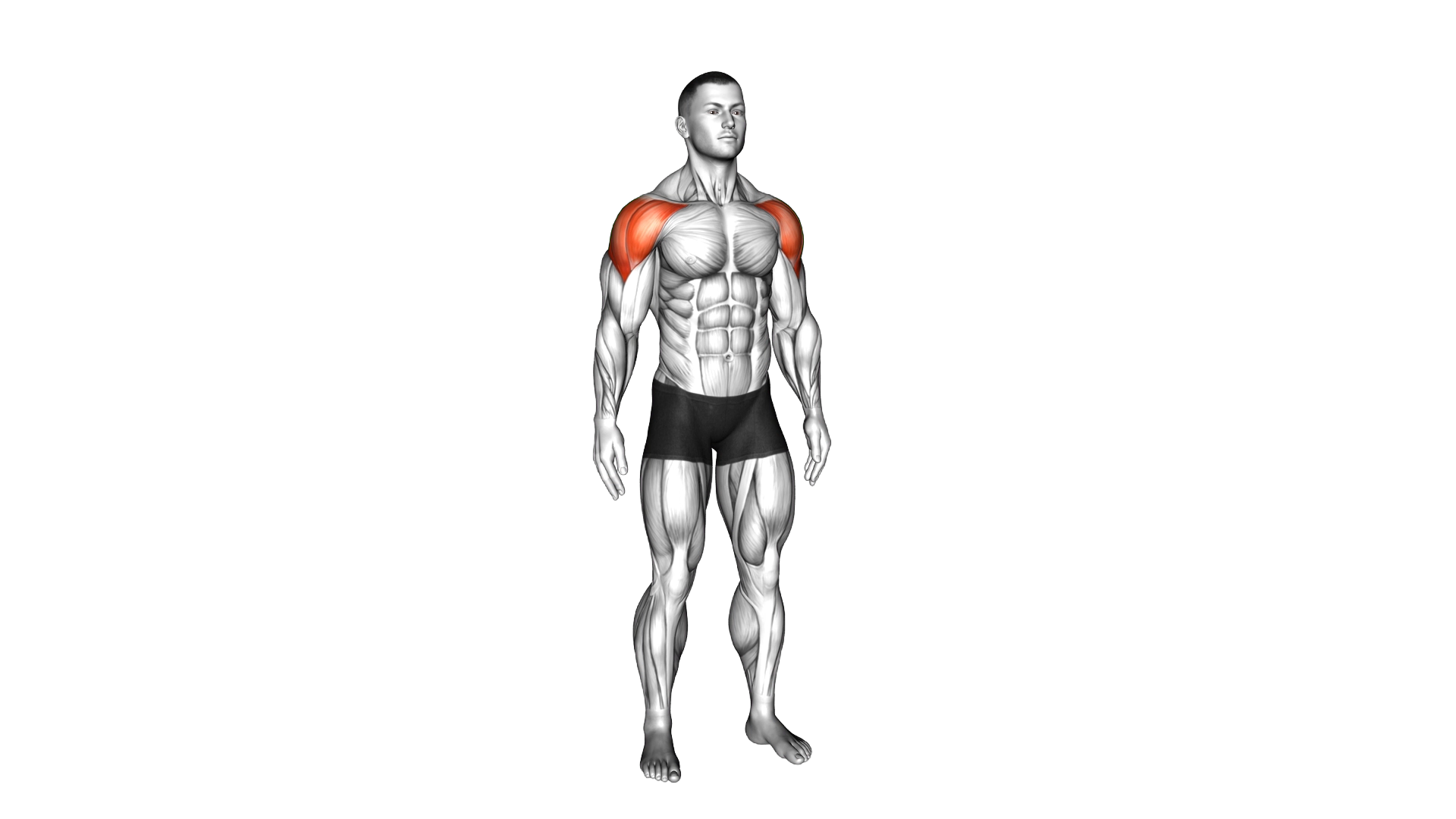 Mid Air Lateral Raises With Switching Palms exercise thumbnail