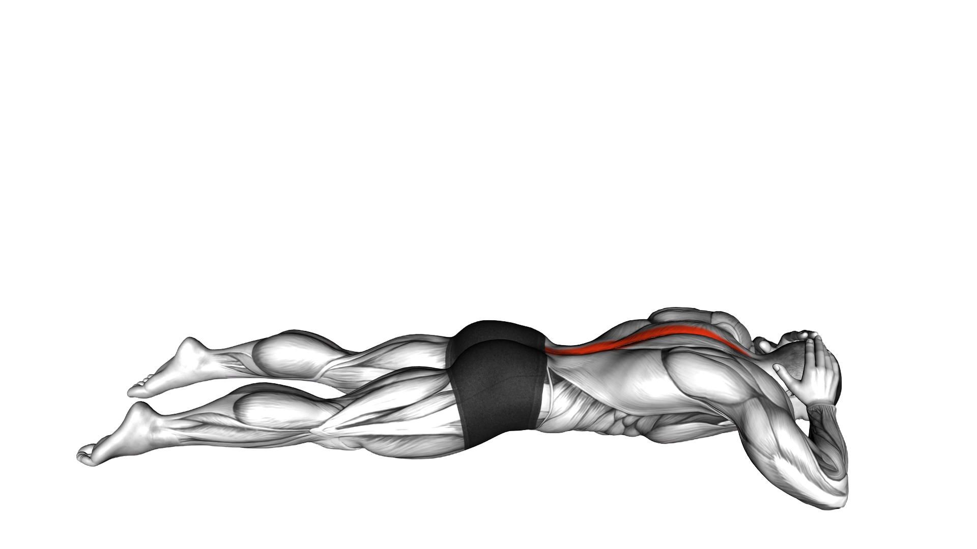 Lying Floor Hyperextension exercise demonstration