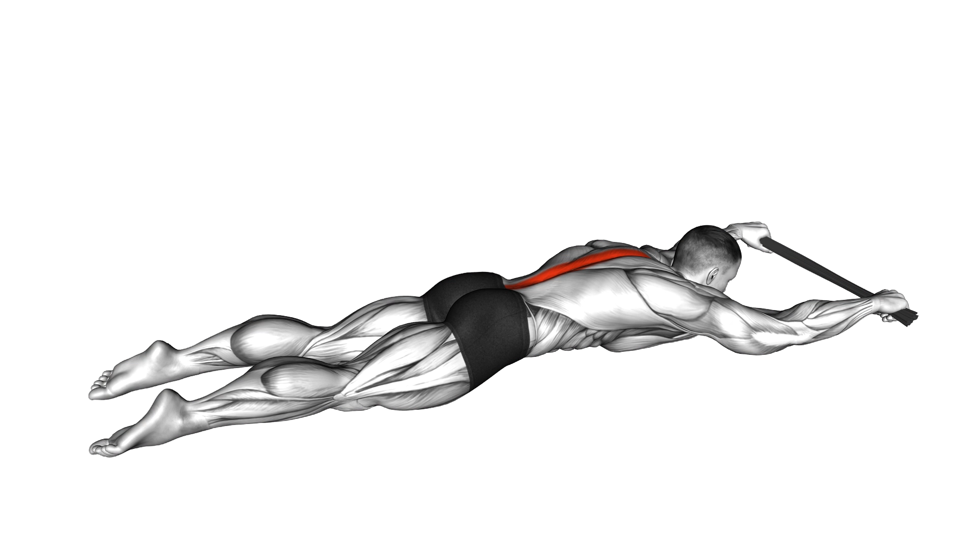 Lying Floor Hyperextension with Towel exercise demonstration