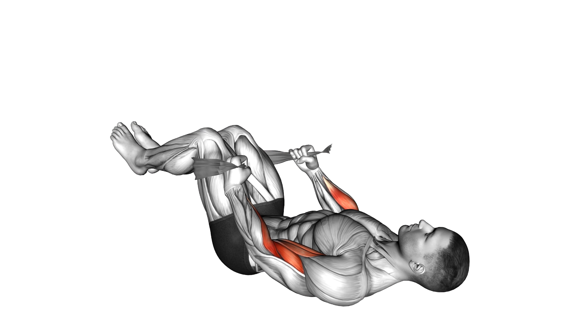 Lying Double Legs Hammer Curl with Towel exercise demonstration
