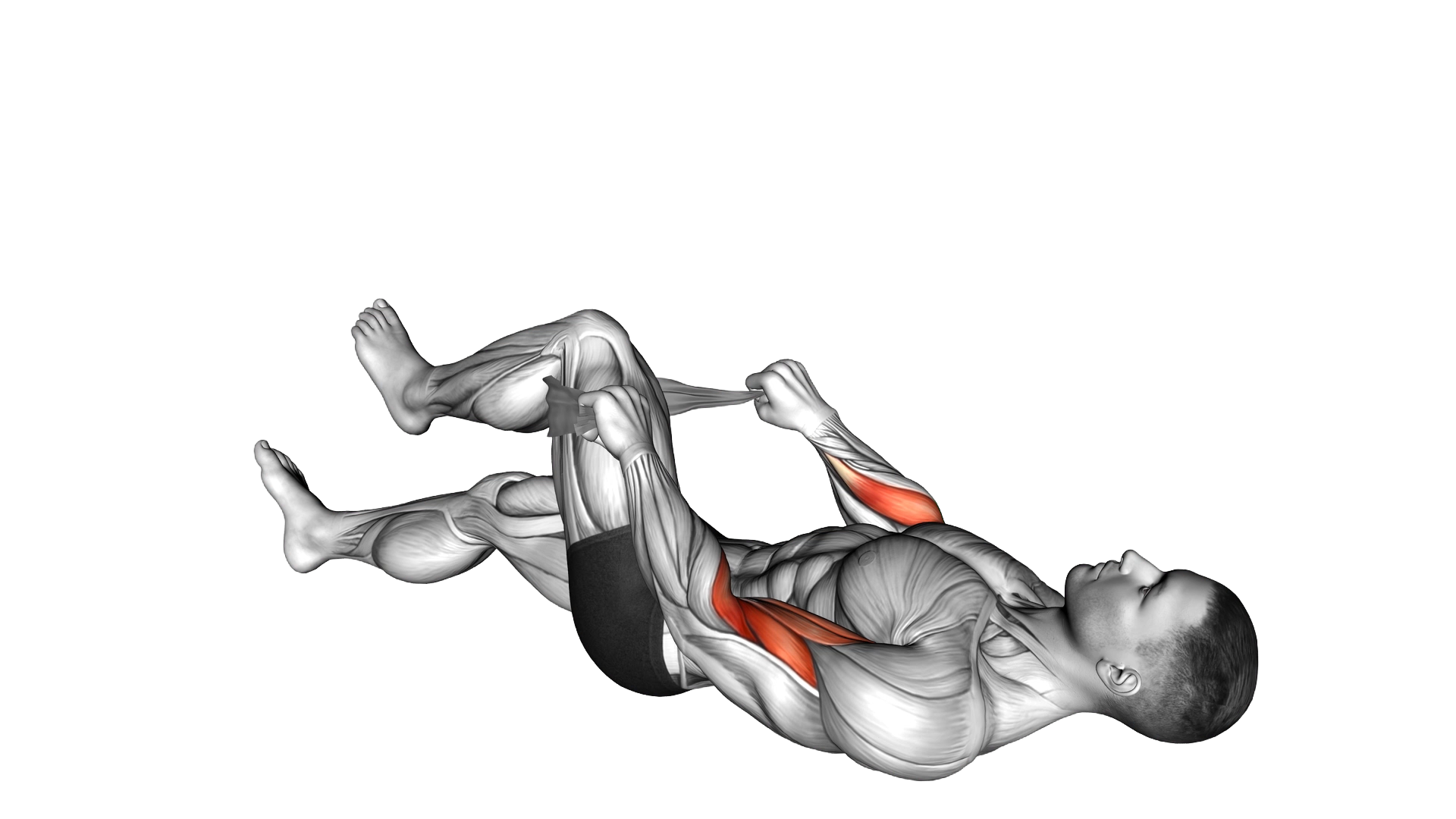 Lying Single Legs Reverse Biceps Curl with Towel exercise demonstration