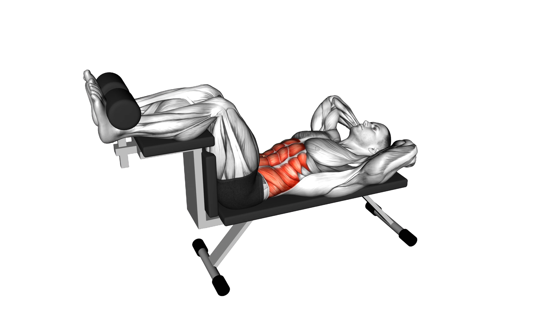 Crunch (on bench) exercise thumbnail
